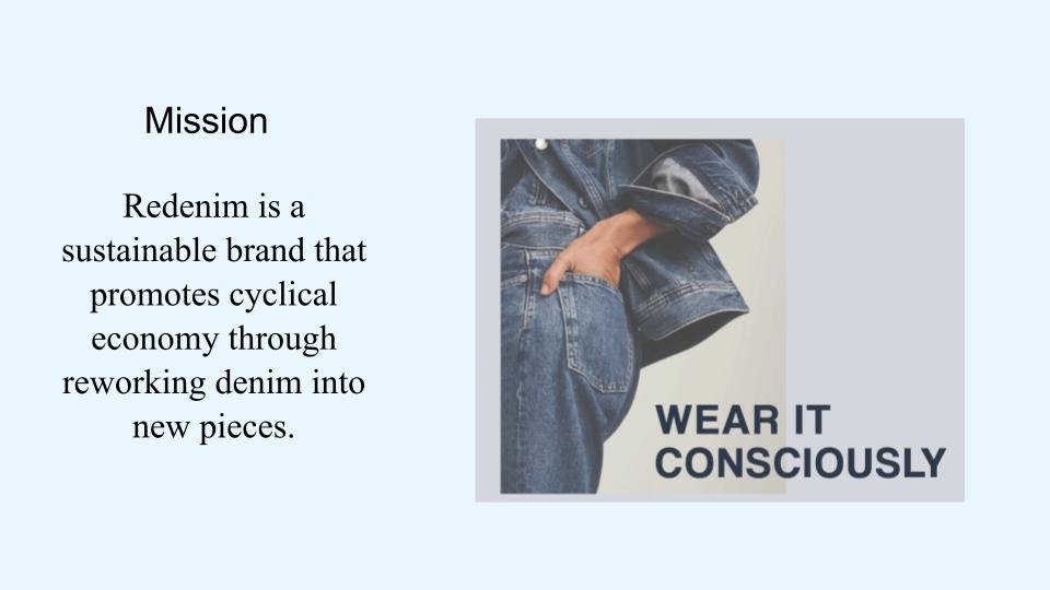 REDENIM PRESENTATION (2).jpg