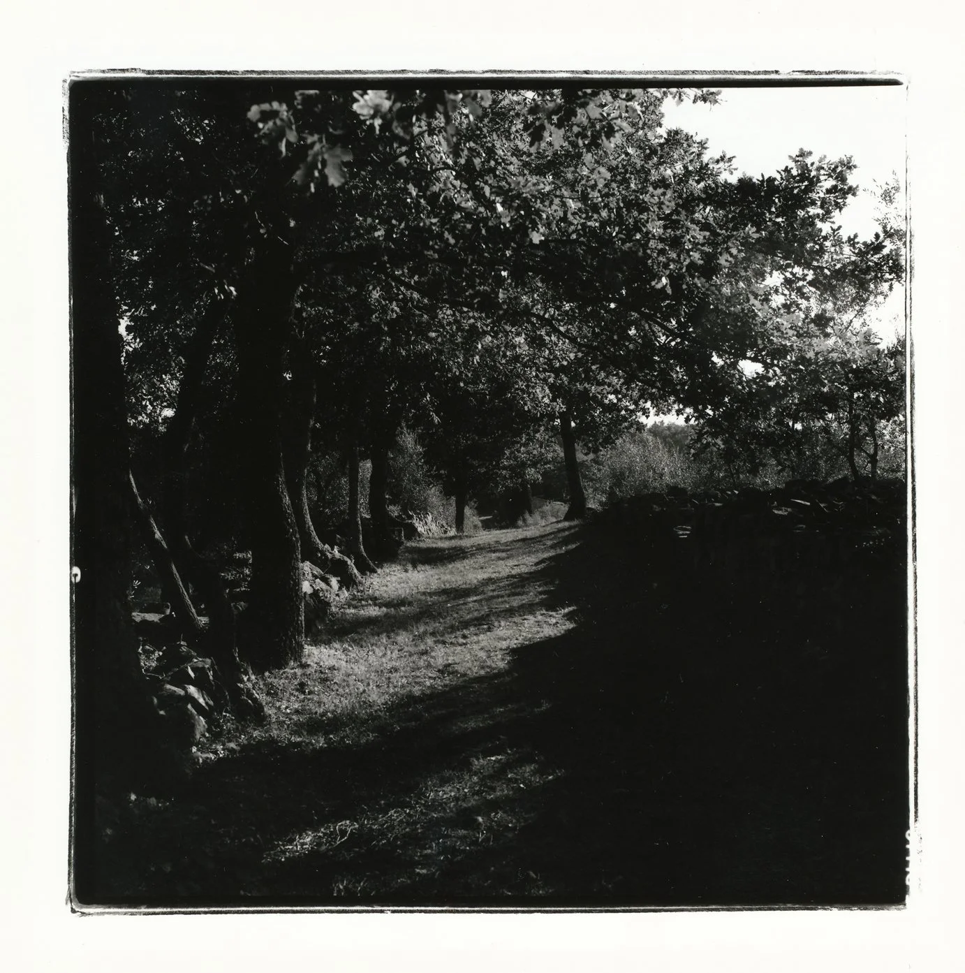 'Via Cassia 18:00' 2004, Hand printed from 6x6 Rolleiflex