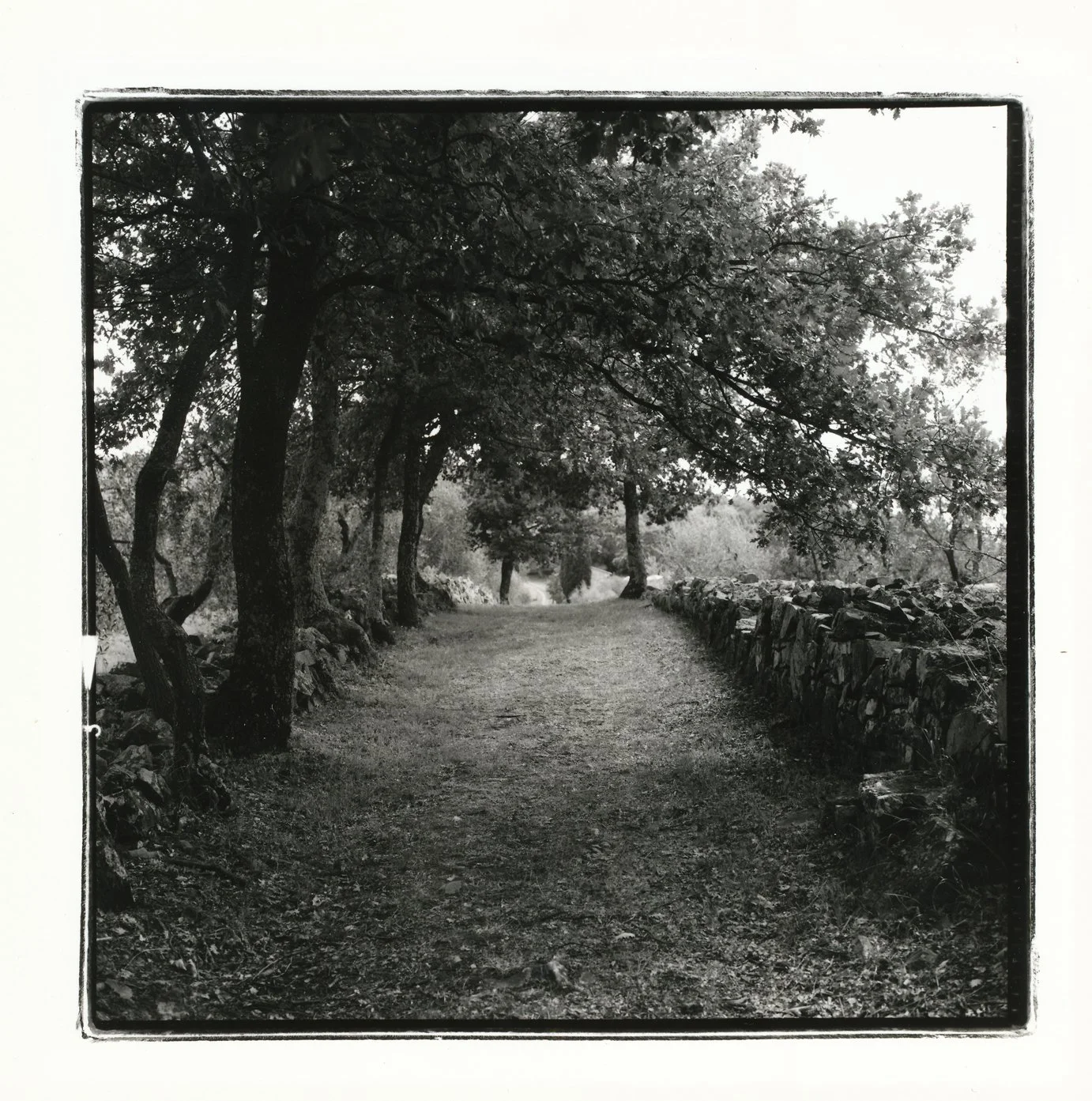 'Via Cassia 12:00' 2004, Hand printed from 6x6 Rolleiflex