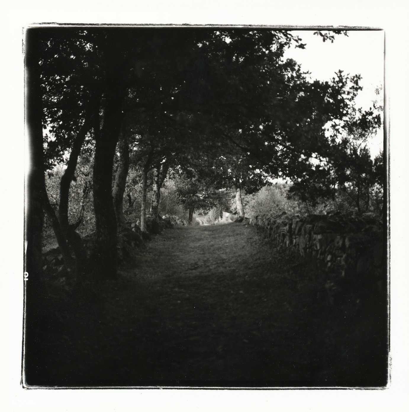 'Via Cassia 19:15' 2004, Hand printed from 6x6 Rolleiflex