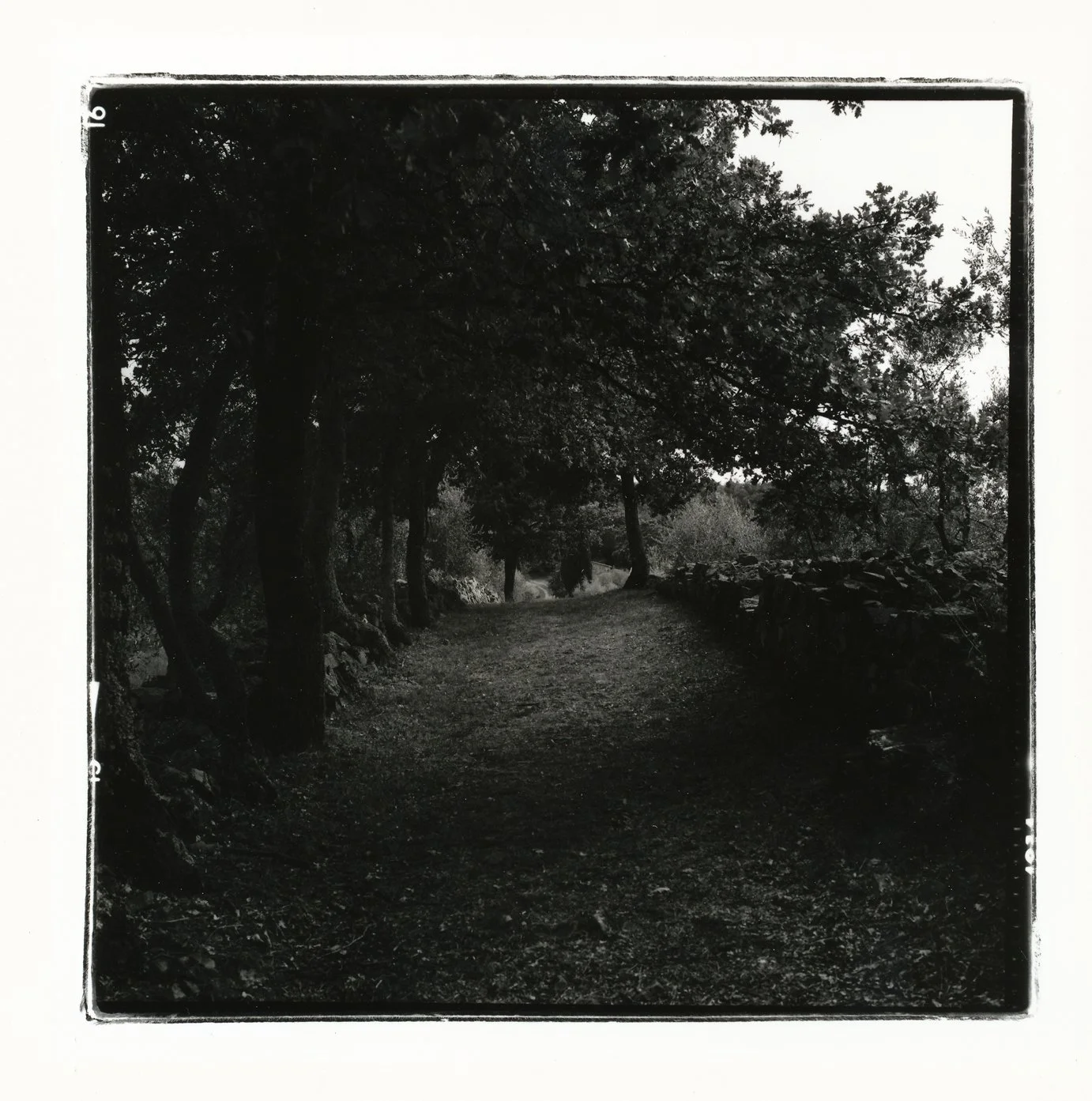 'Via Cassia 07:00' 2004, Hand printed from 6x6 Rolleiflex