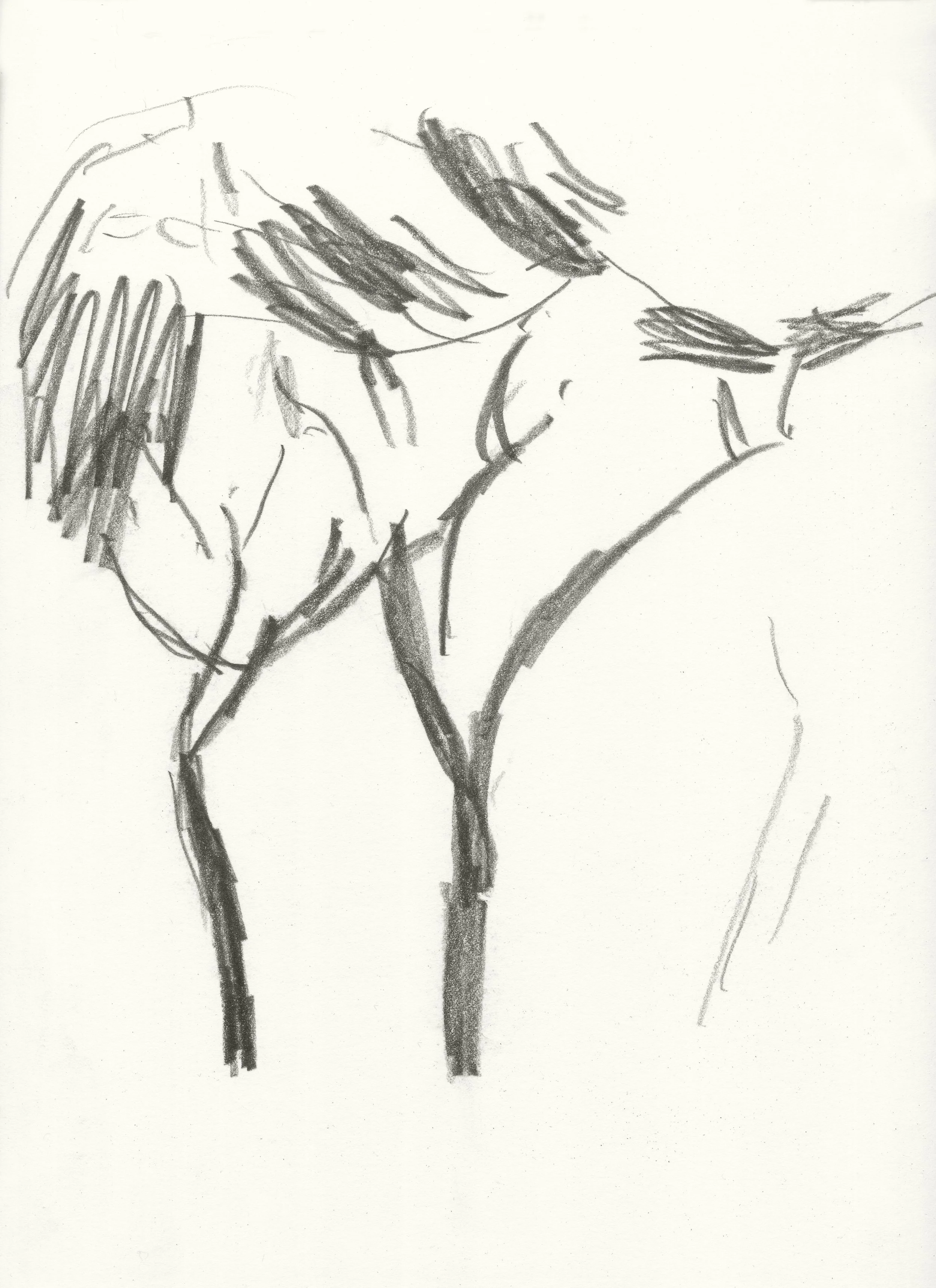 Sketchbook Rome, 2022