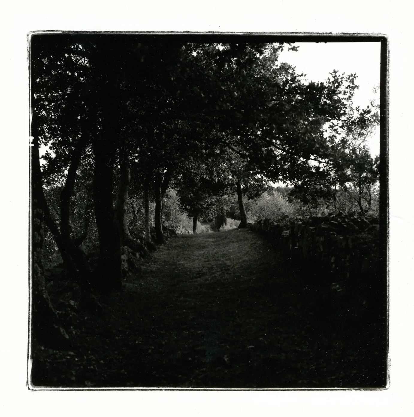 'Via Cassia 06:45' 2004, Hand printed from 6x6 Rolleiflex