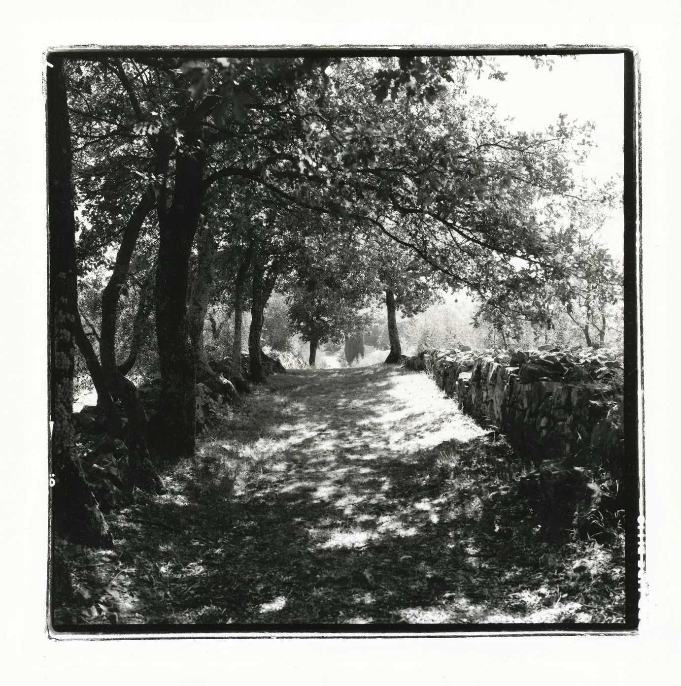 'Via Cassia 14:00' 2004, Hand printed from 6x6 Rolleiflex
