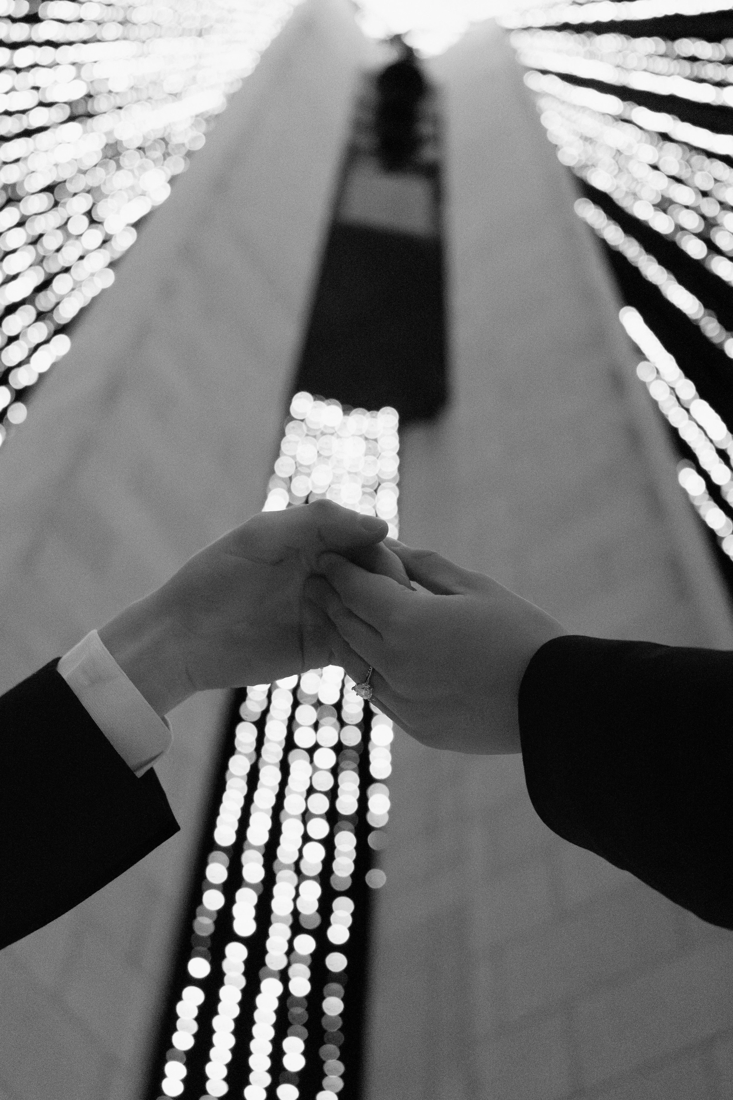 9G2A9958 smaller.jpg