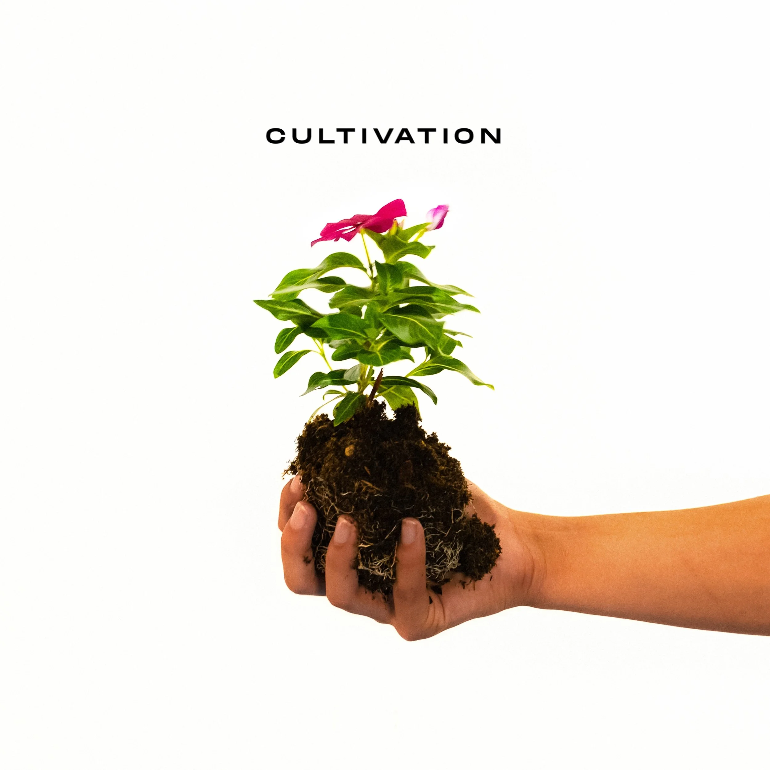 Jalen Jordan Cultivation EP Cover Art