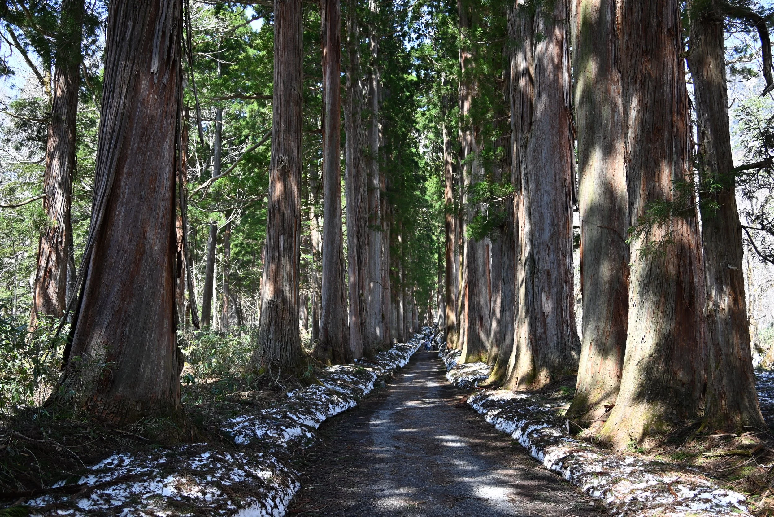 DSC_4242.JPG