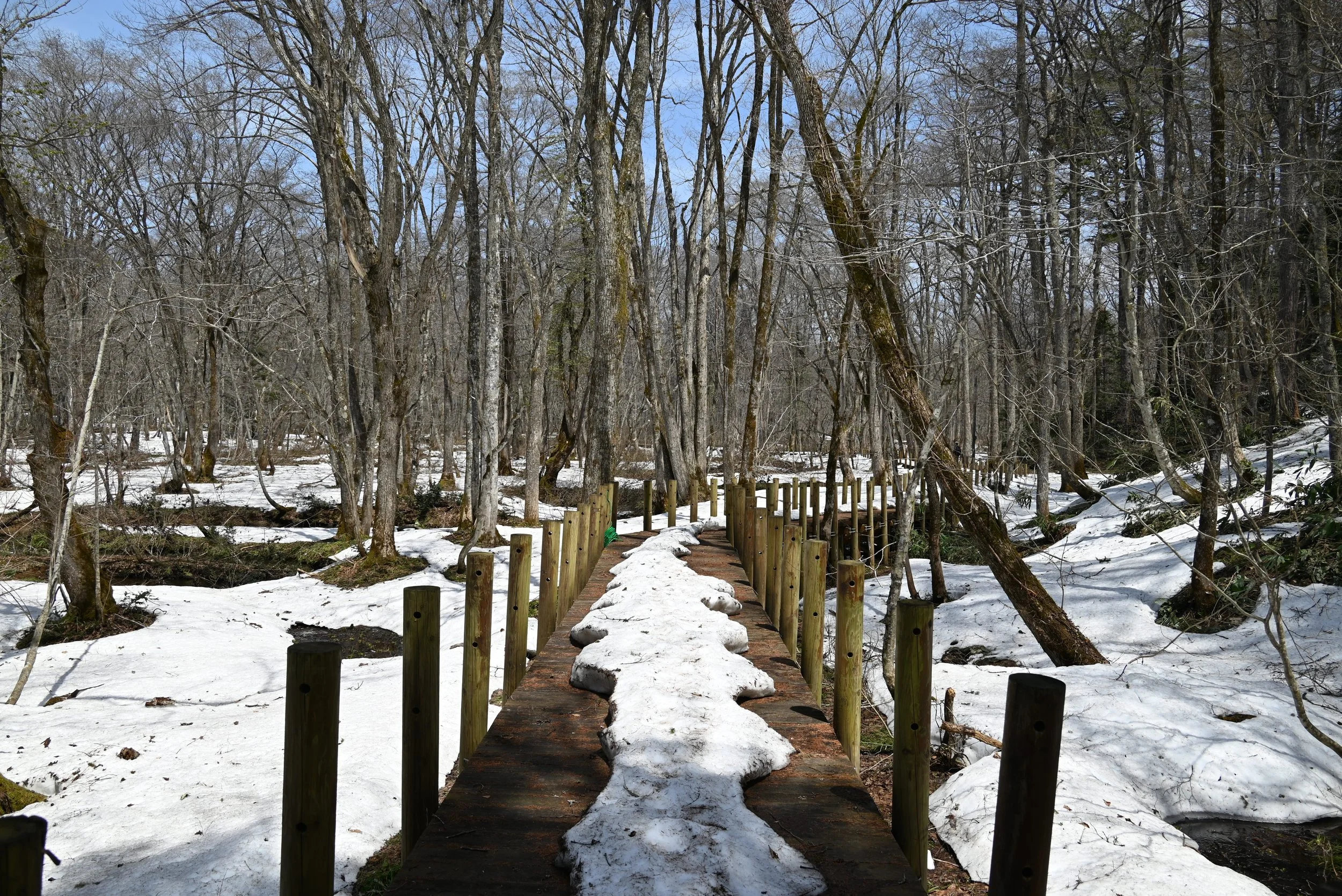 DSC_4331.JPG