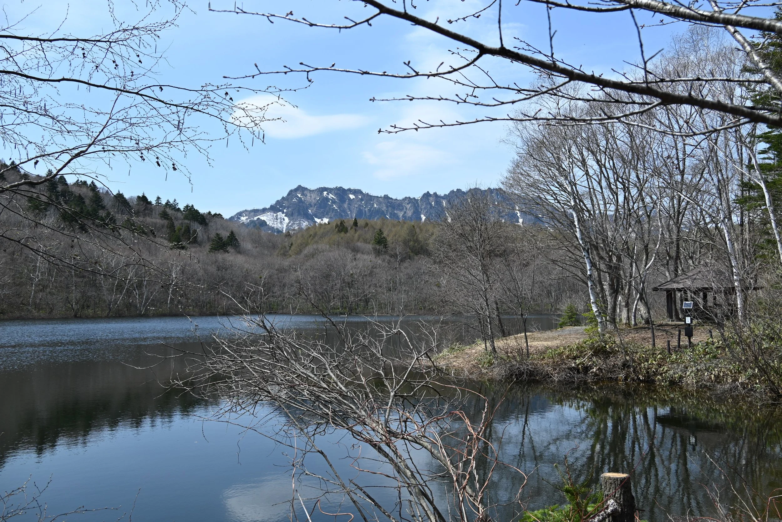 DSC_4351.JPG