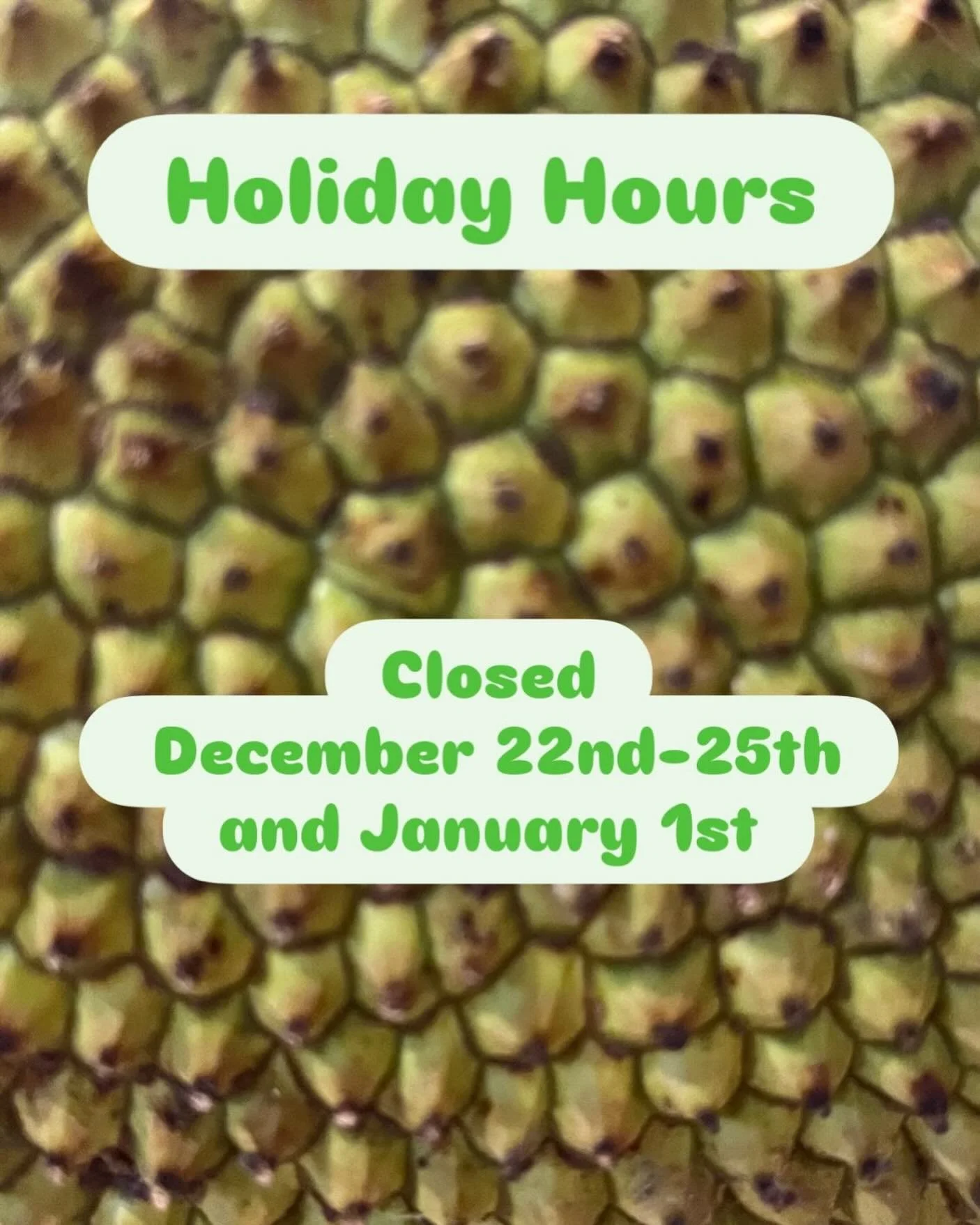 We&rsquo;ll be back to regular hours on December 26th!