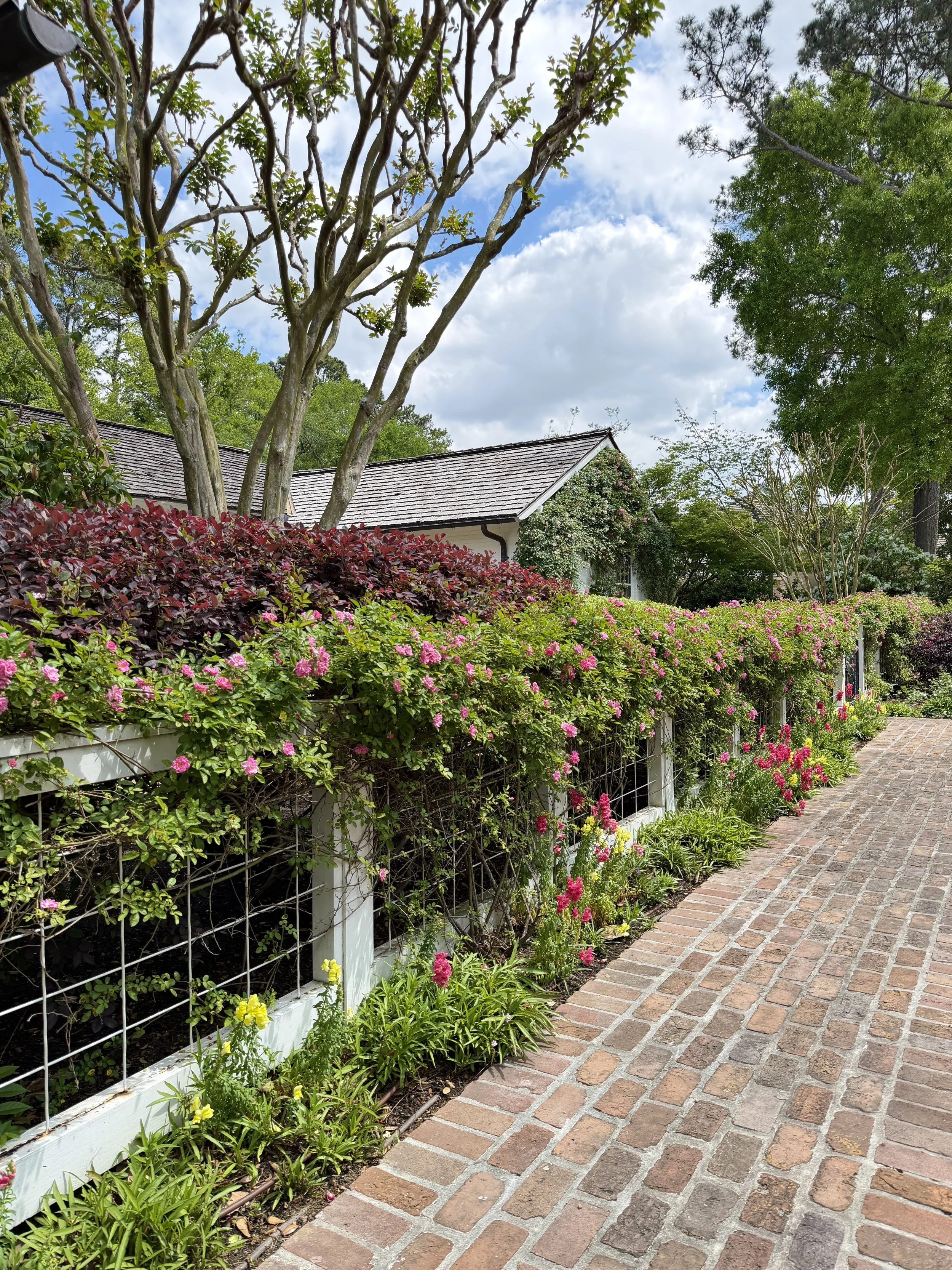 harrell Spring fence.jpg