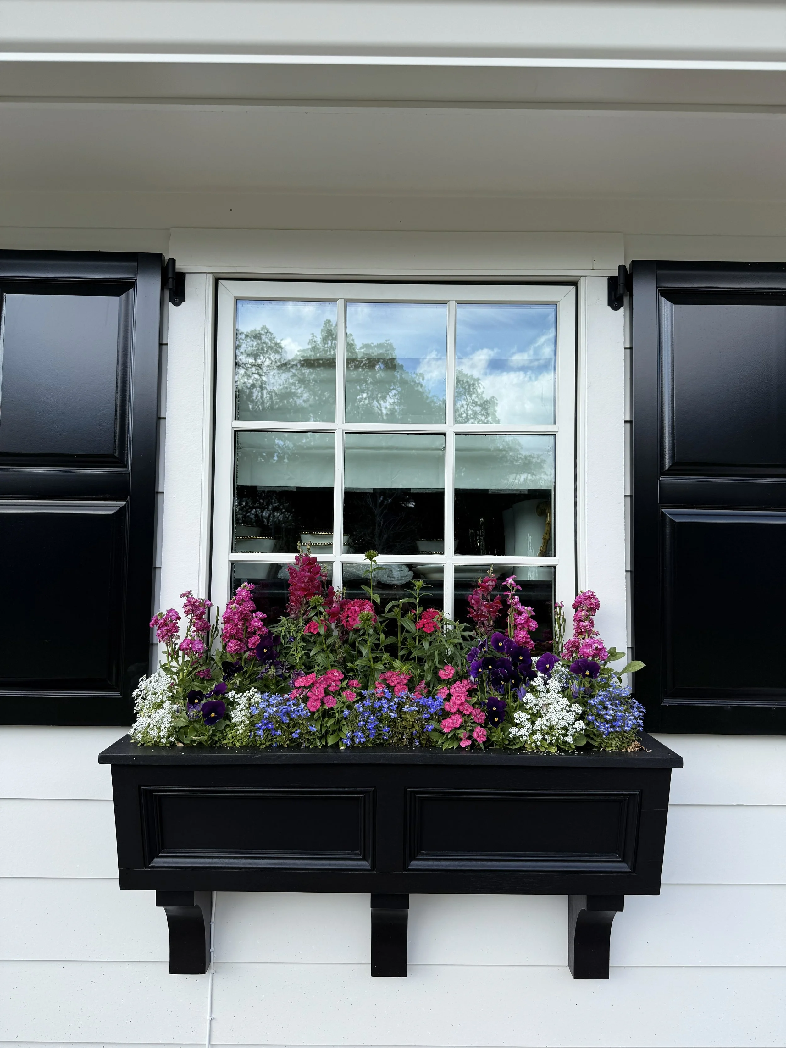 zook wndow pot 2.jpg