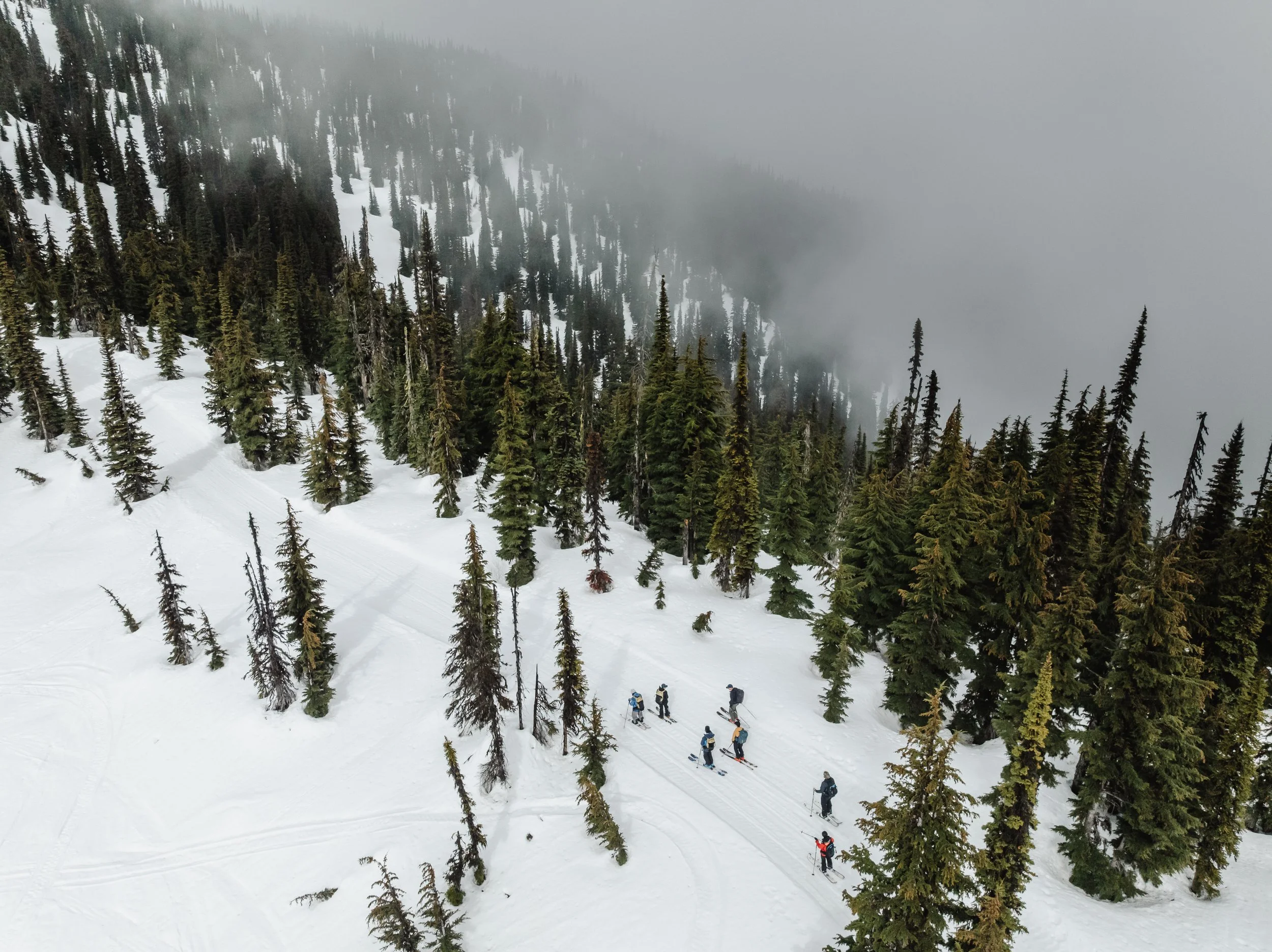 DJI_0382.jpg