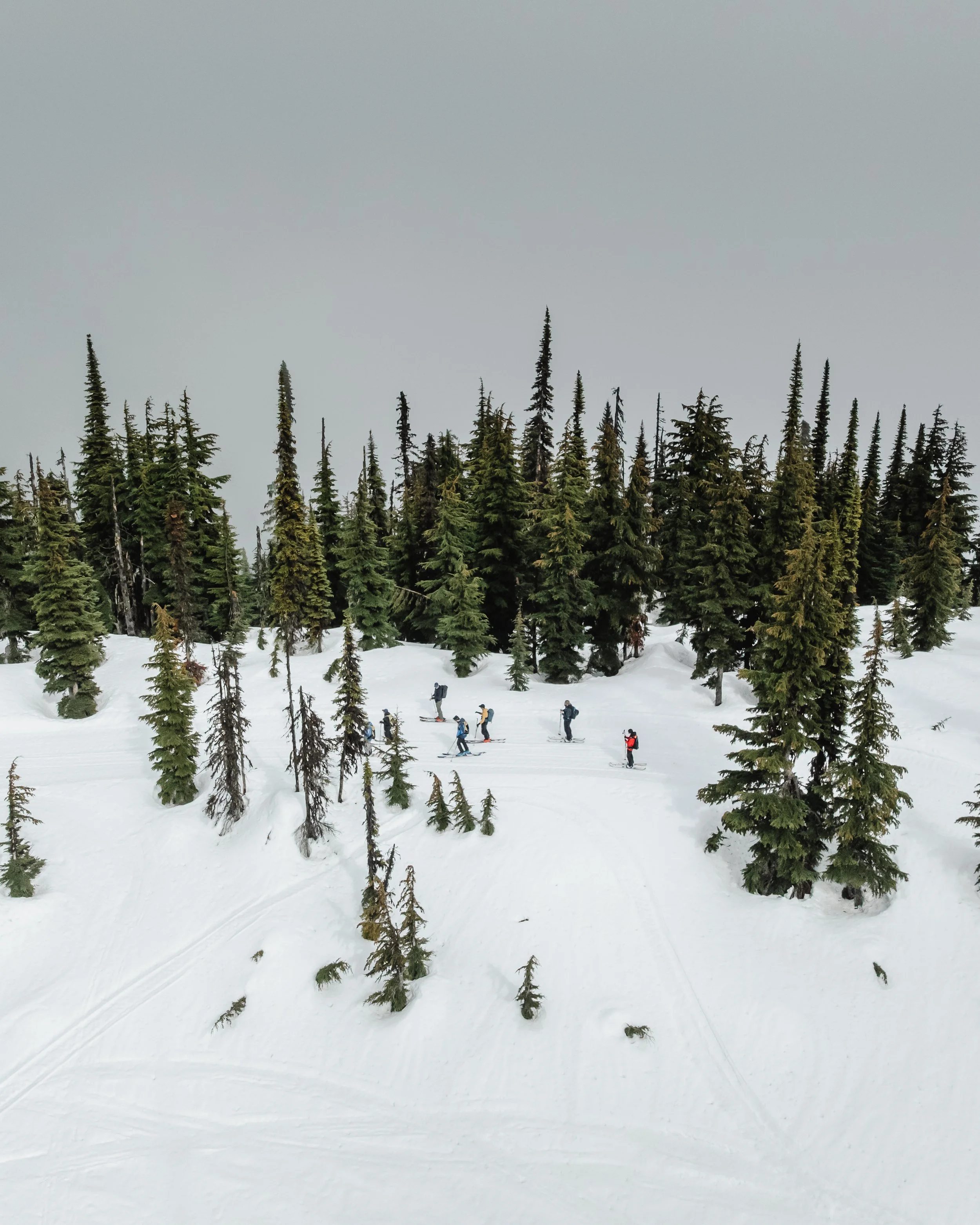 DJI_0383.jpg