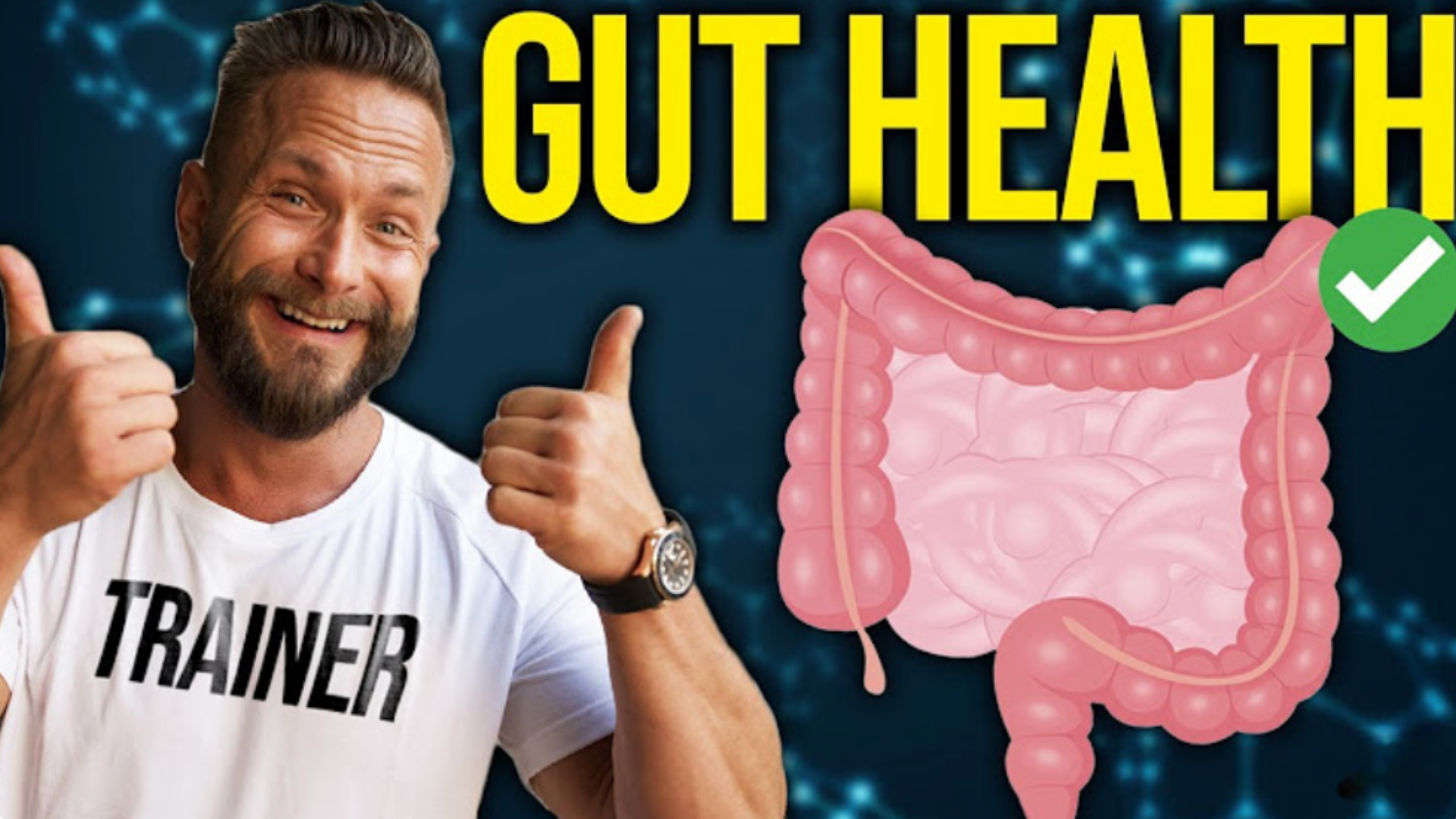 How to Improve Your Gut Health: Foods and Probiotics