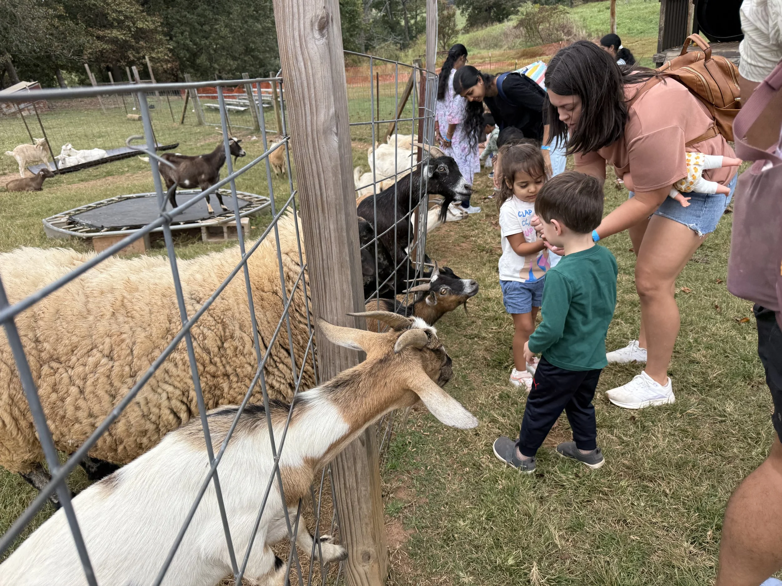 Field Trip to the Farm