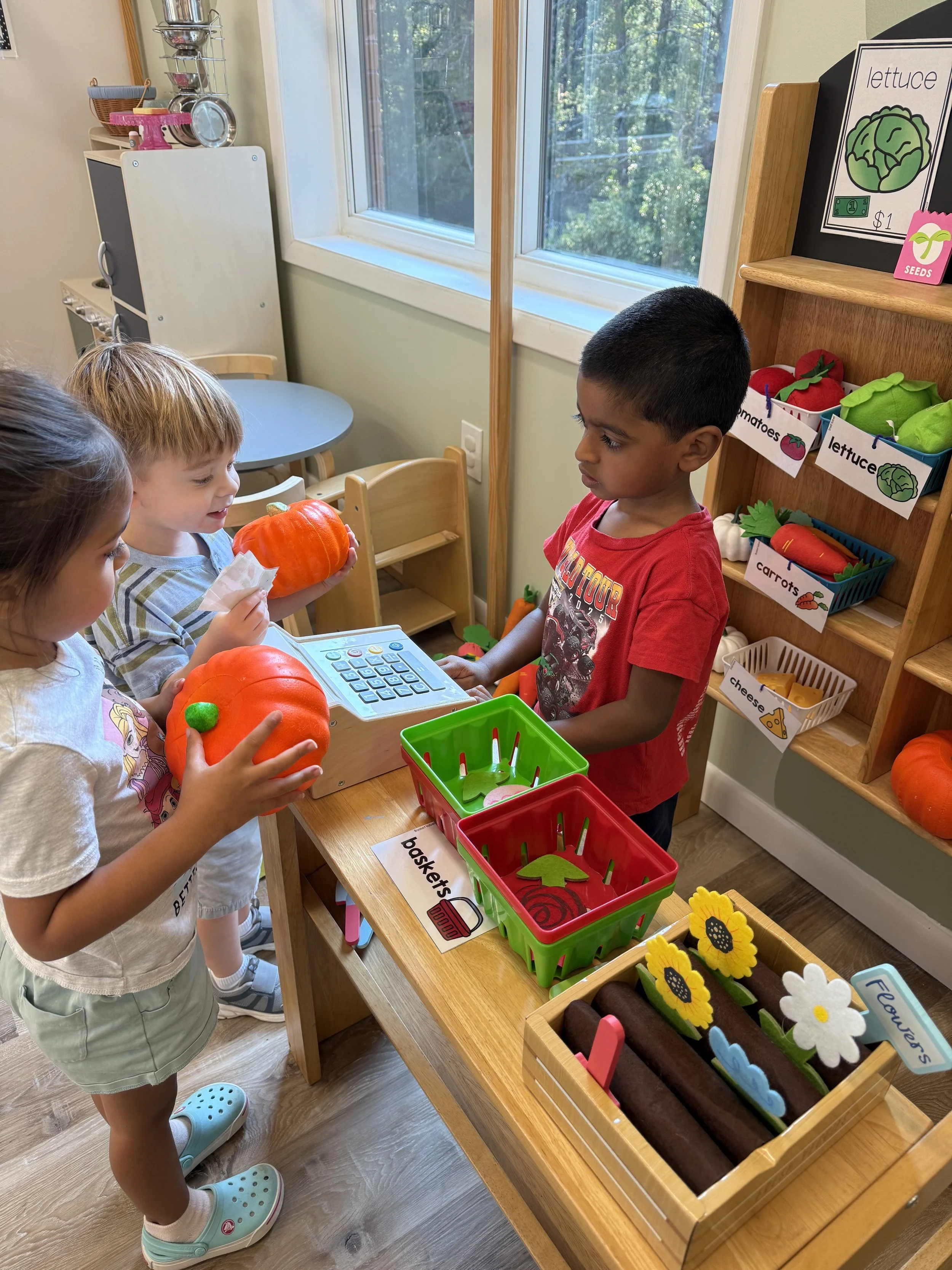 Dramatic Play - Farmers Market