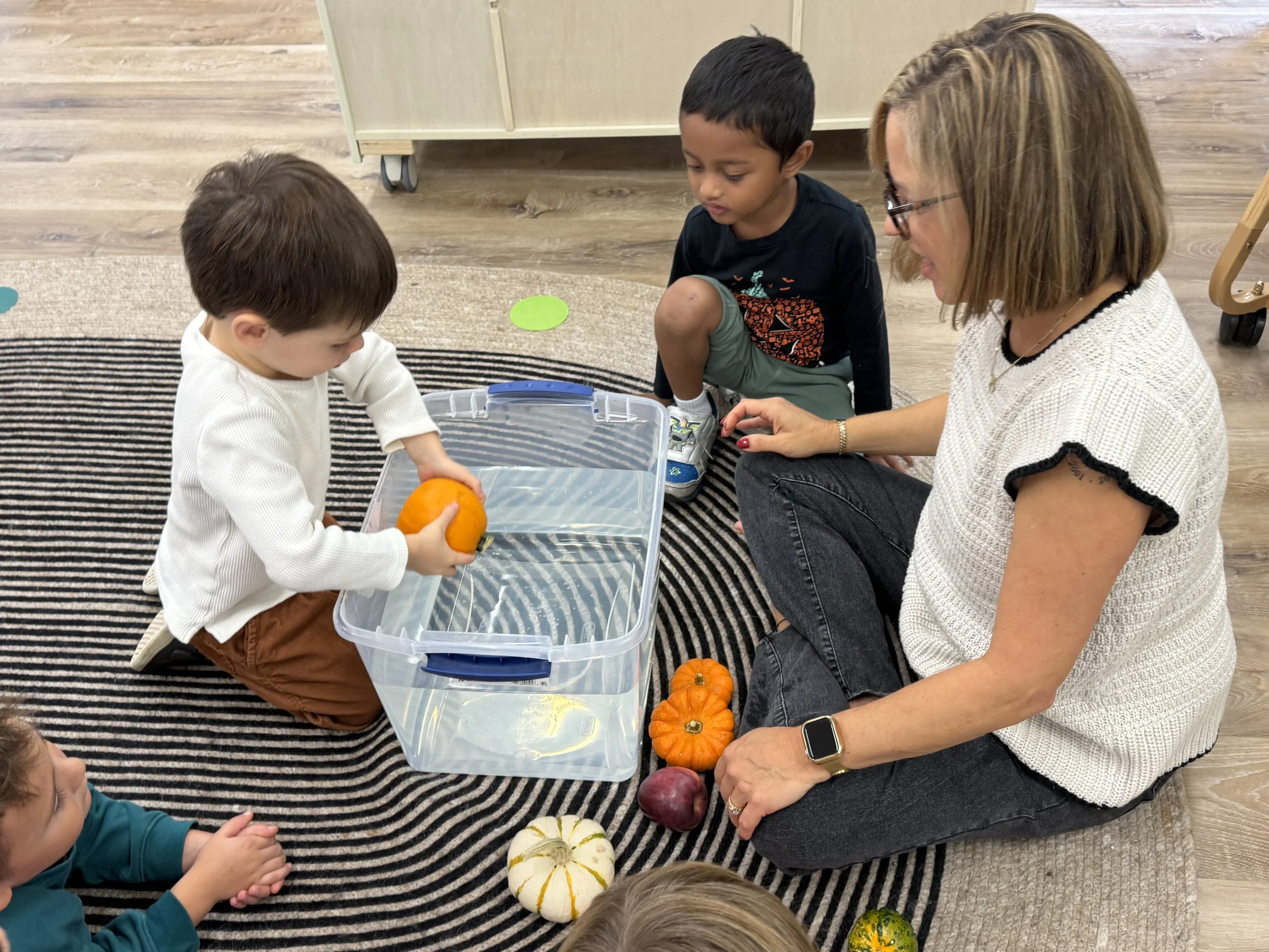 Science Exploration - Sink or Float