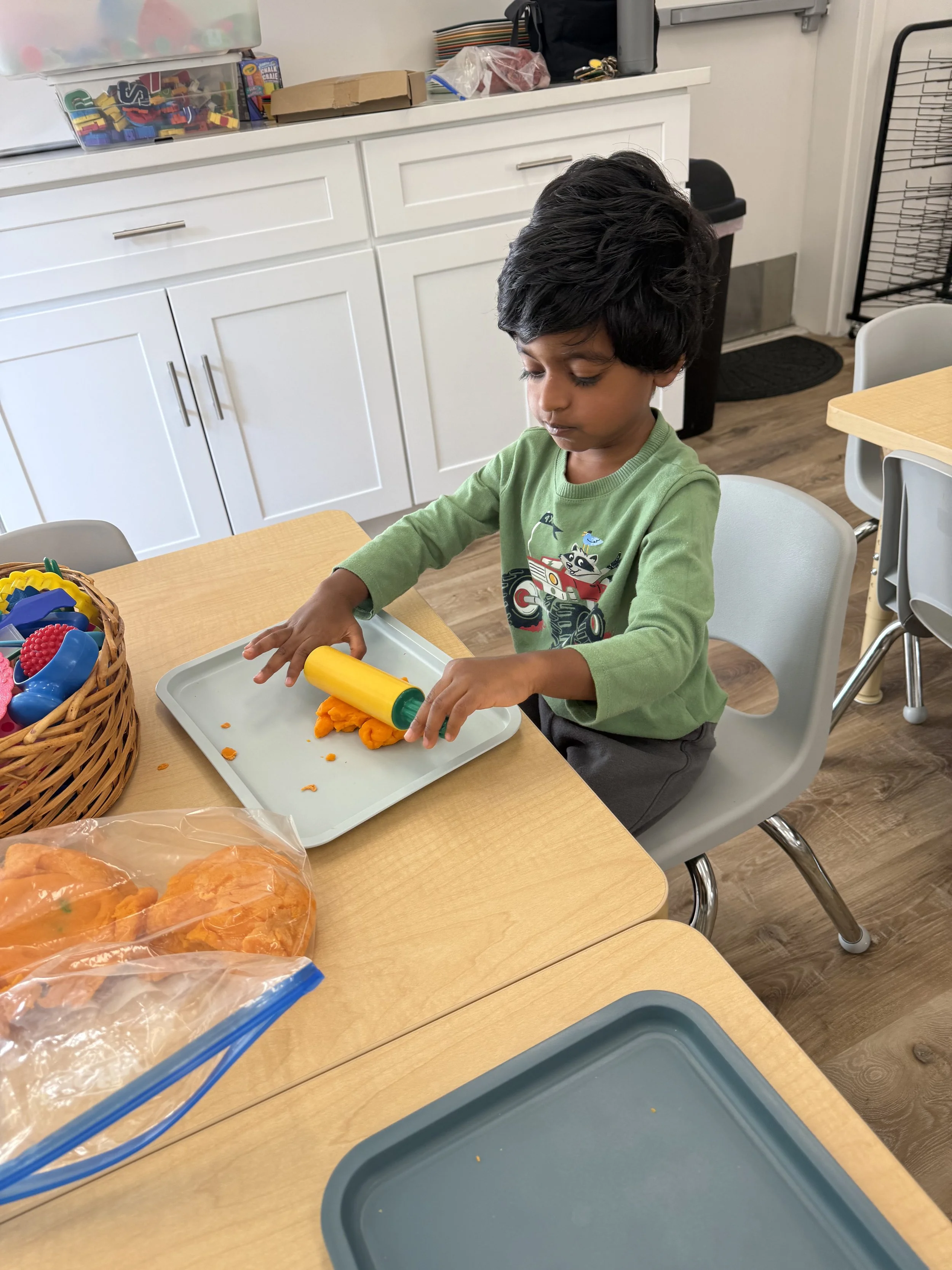 Fine Motor - Working with Play dough