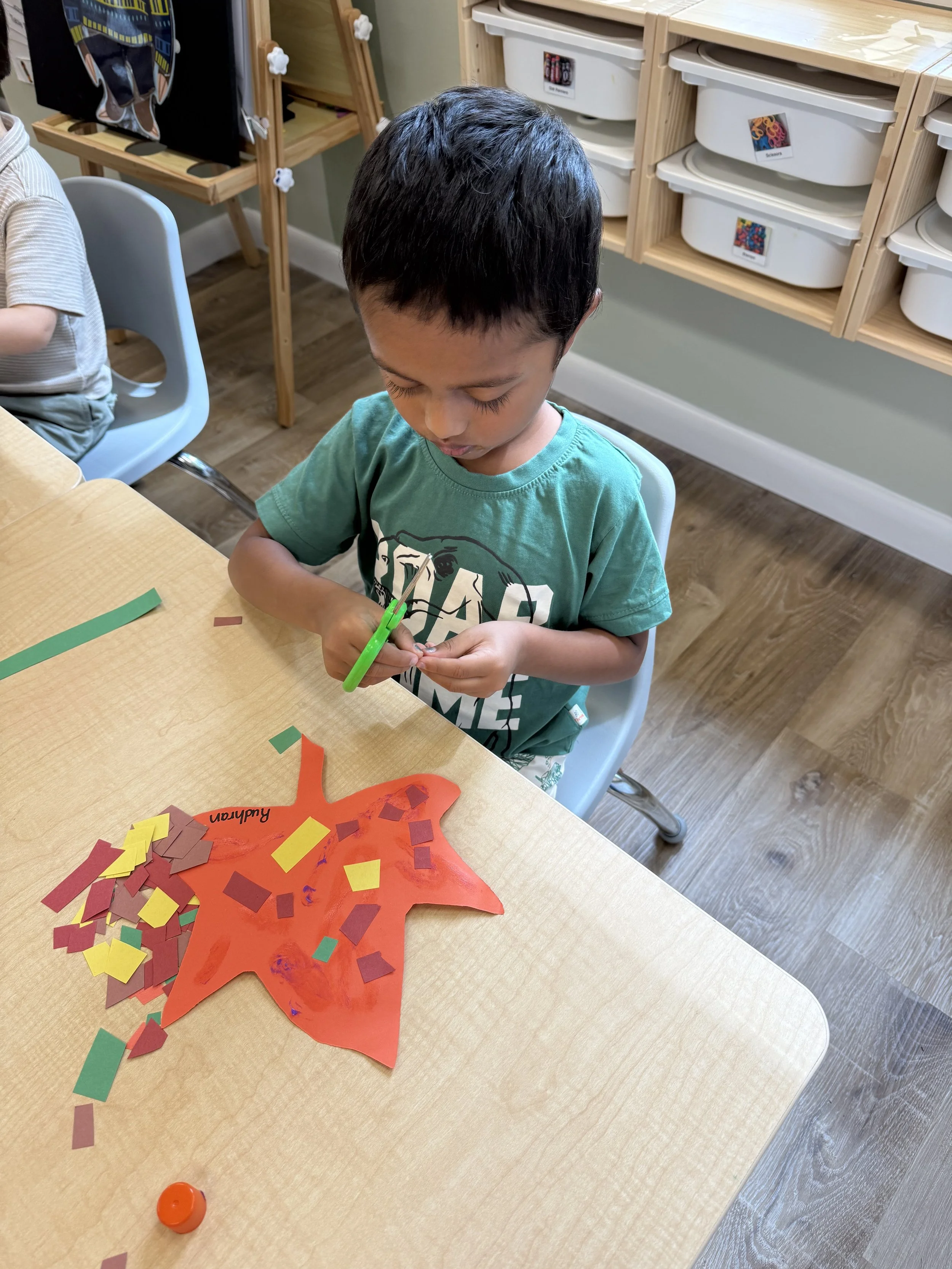 Fine Motor