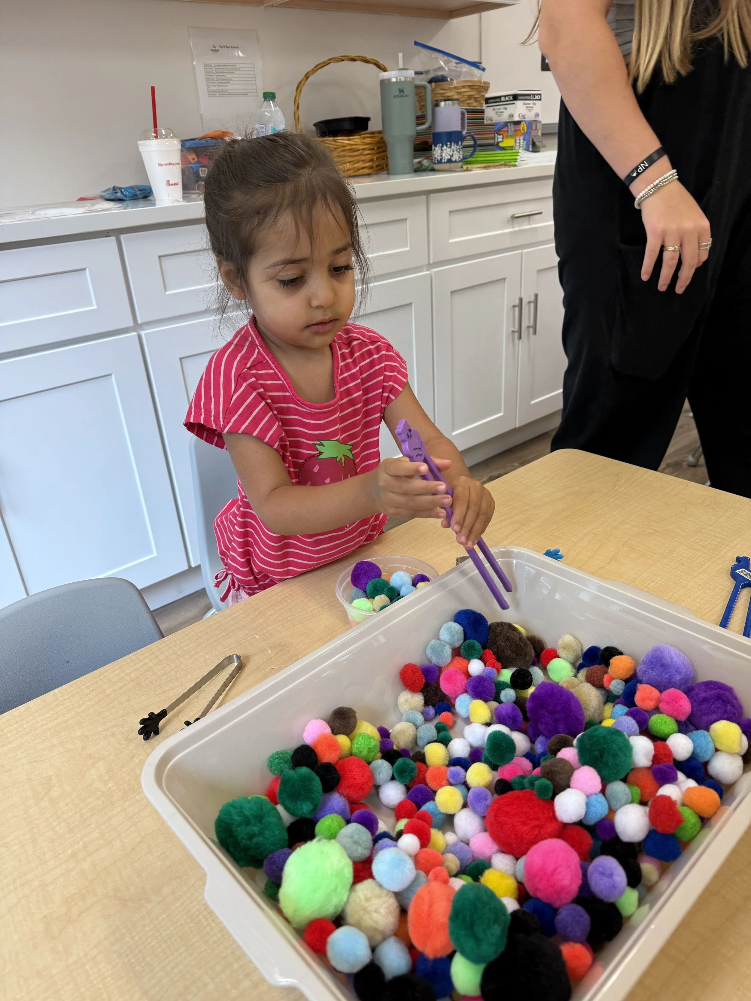 Fine Motor Play