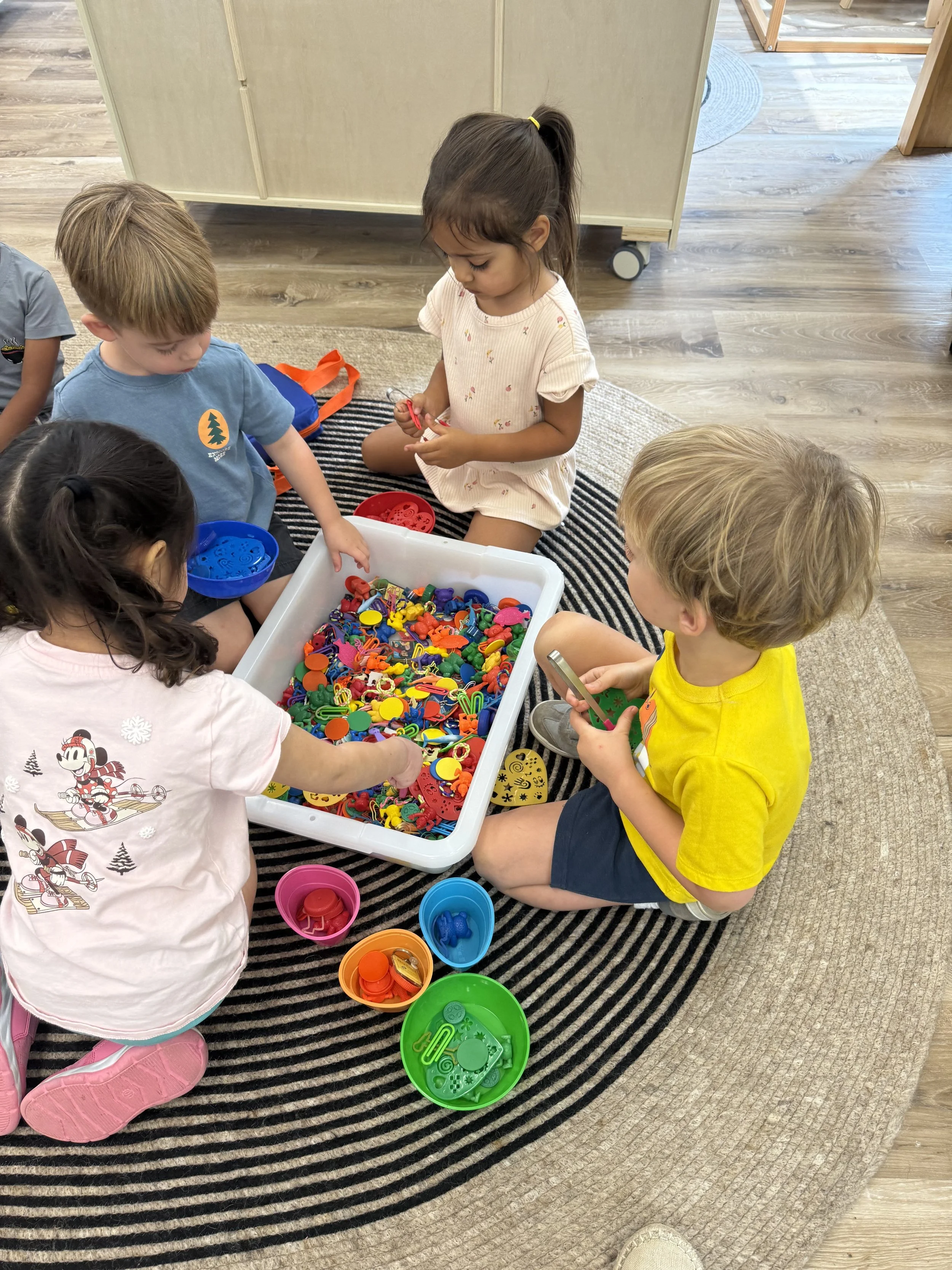Math Exploration - Sorting Colors