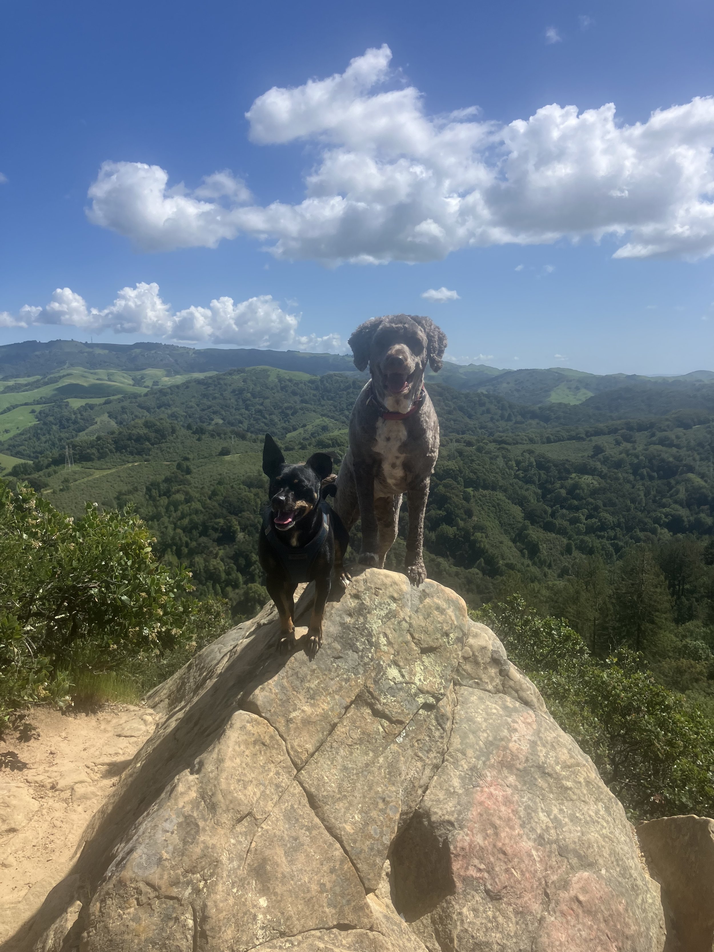 ellie and tunchi.jpg