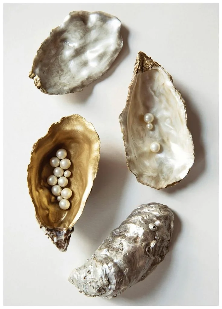 Oyster Shells No1 Print cm).jpeg
