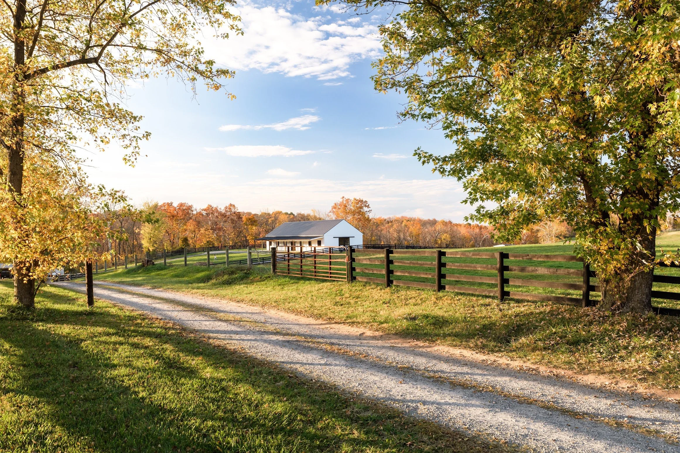 20231028-FauseyFarm-HappyFinchPhotography-10.jpg
