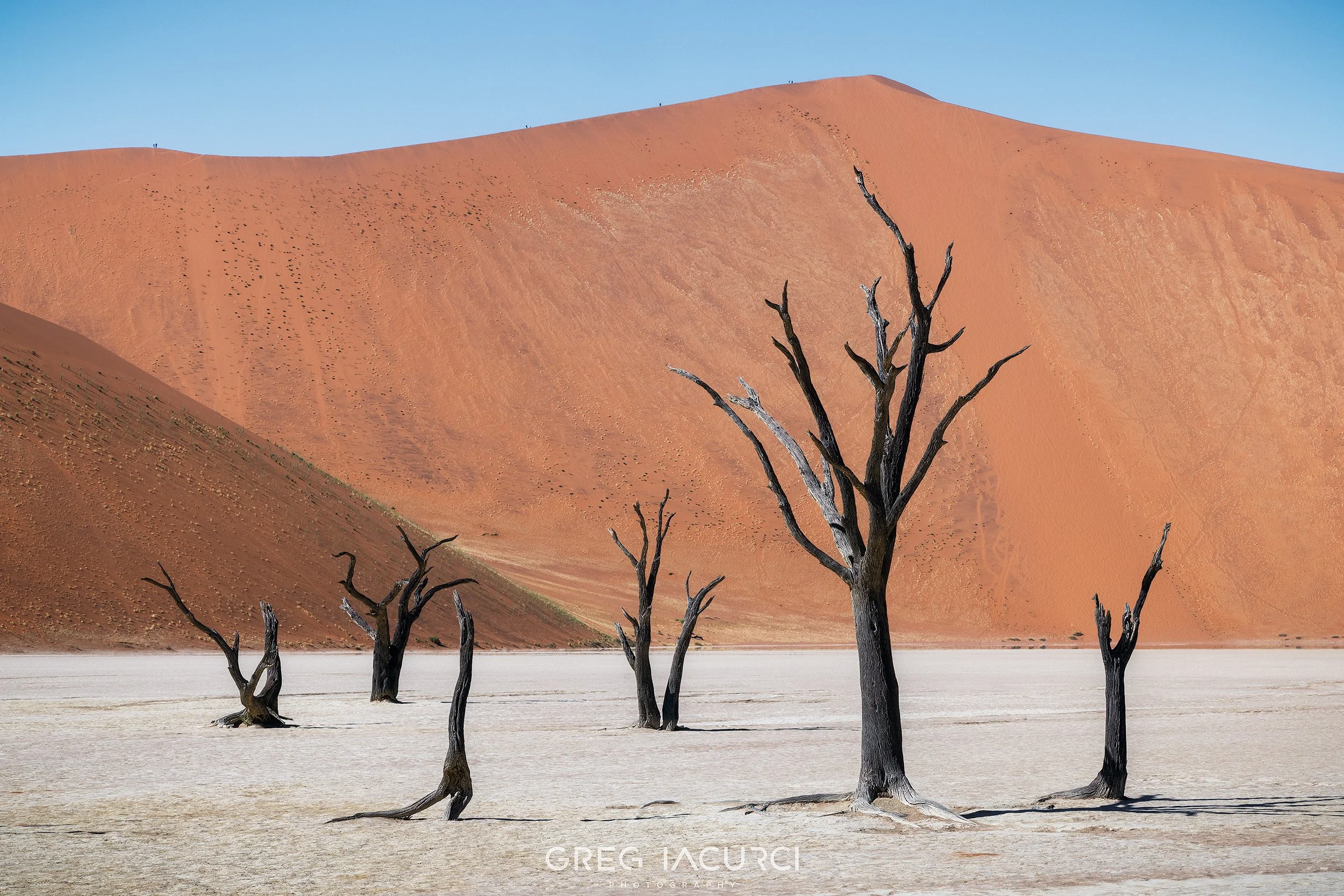 Blackened tree limbs amid tall red desert dunes and cracked white ground.