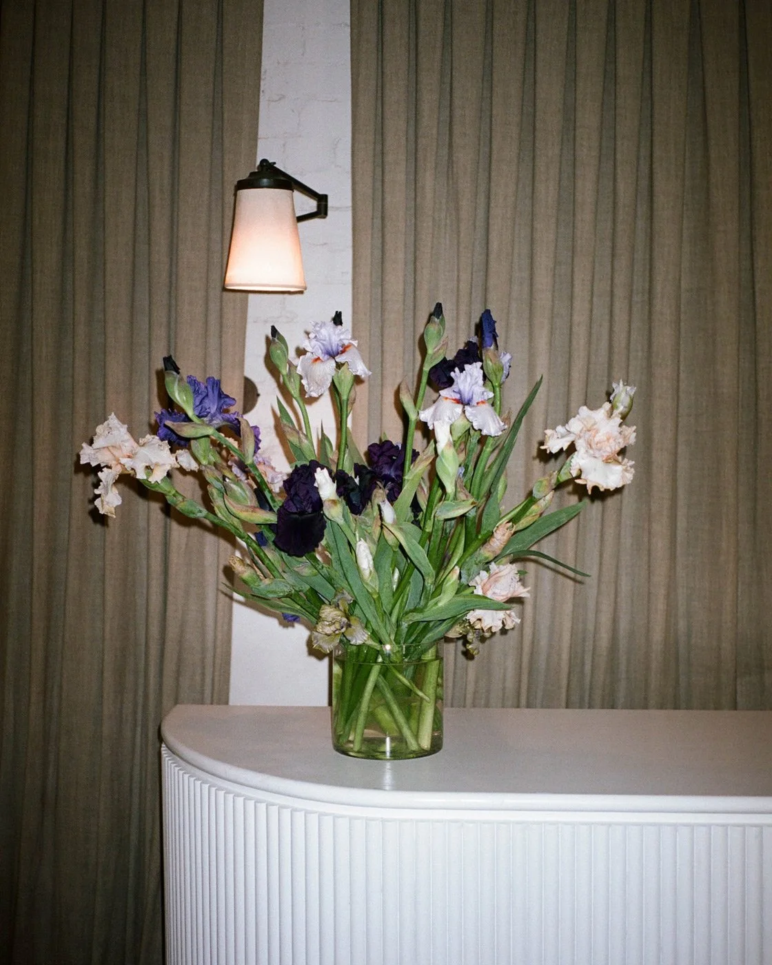 09-bearded-iris.jpg