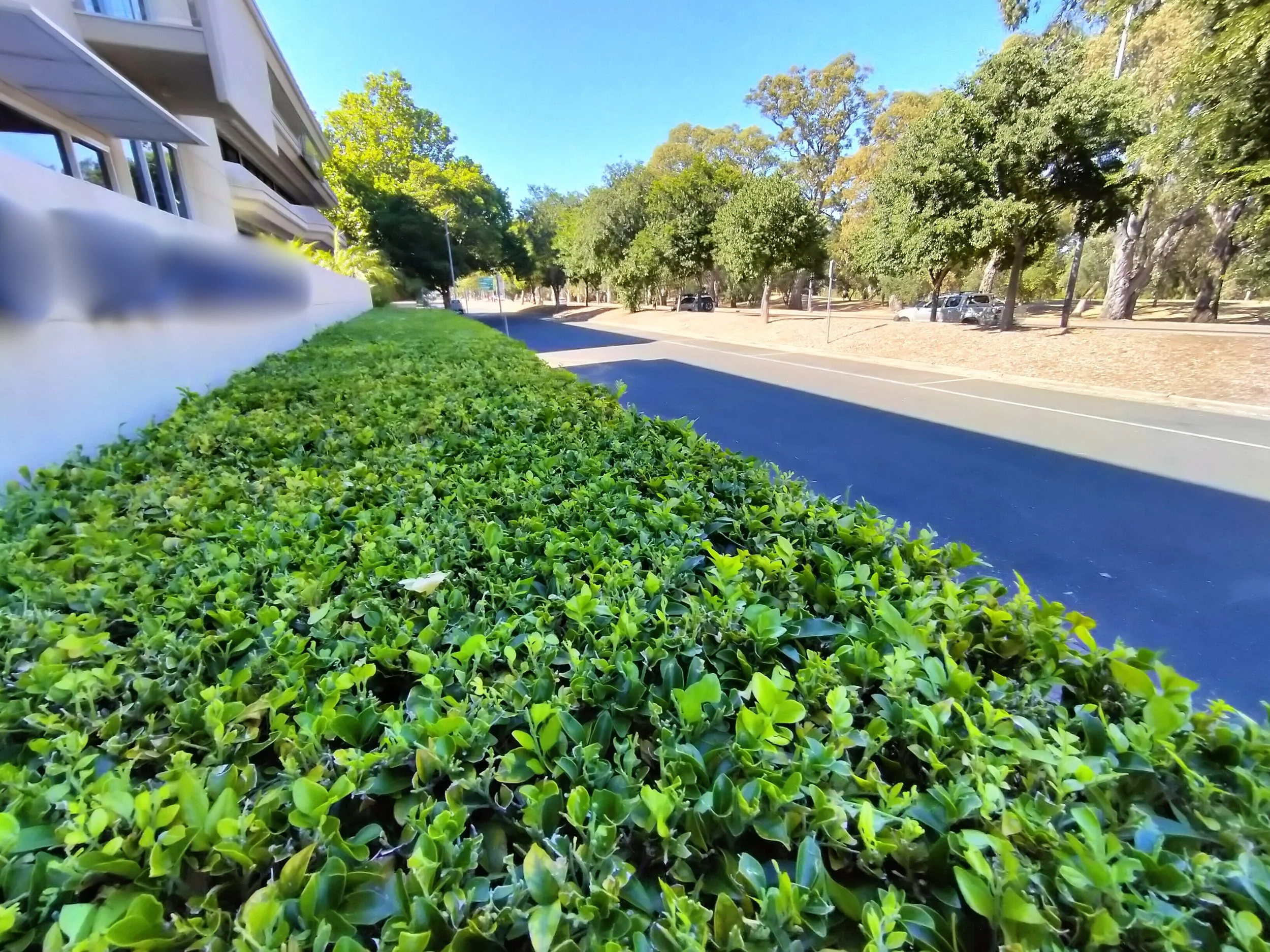 IMG20260104094242 - Edited.jpg