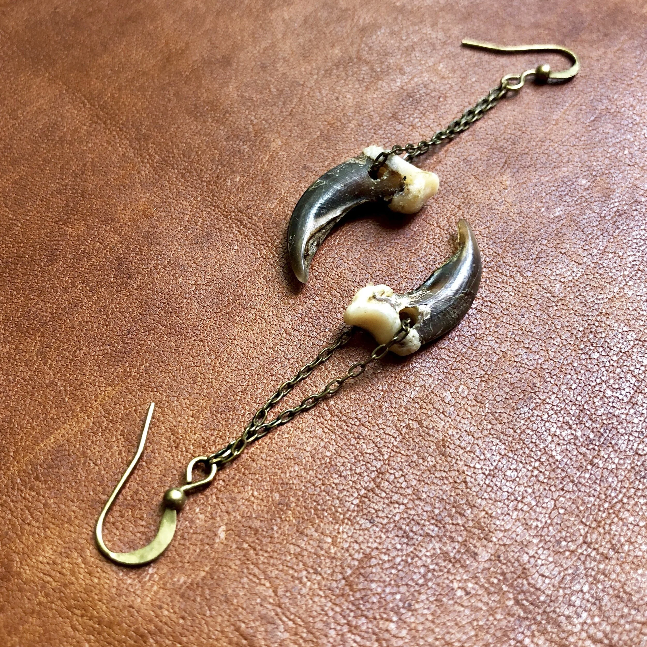 Coyote Claw Earrings-04.jpg