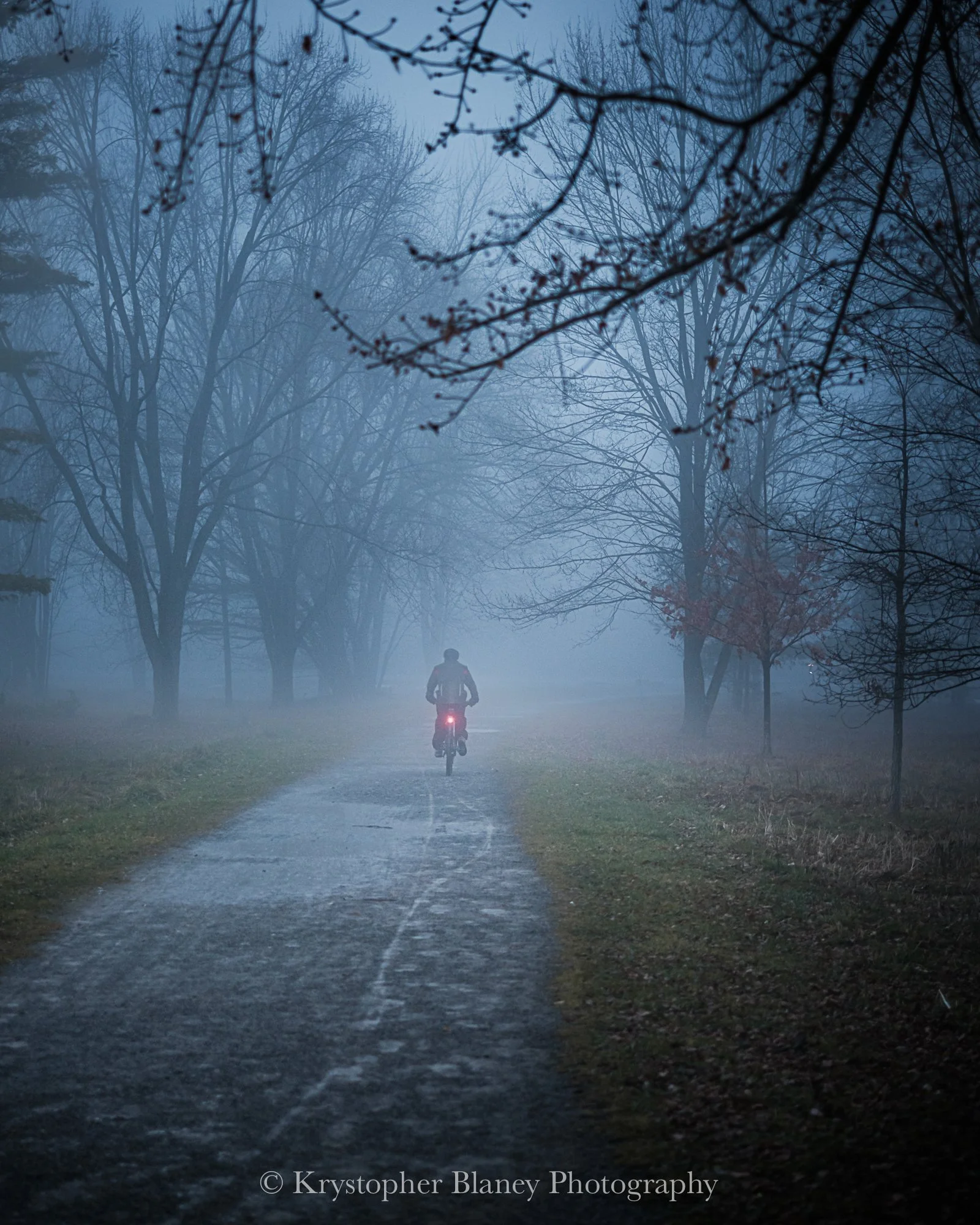 Cyclist (8x10 Print)