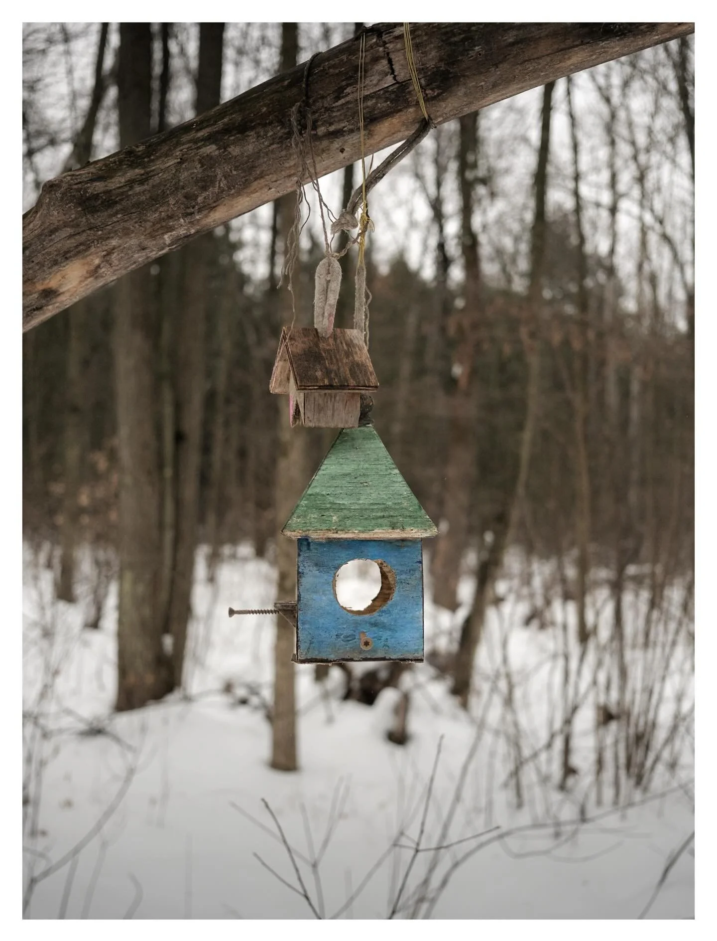 Shelter

#winterquiet #stillness #solitude #liminal #quietmoments #moodygrams #earthtones #softlight #atmospheric #melancholy