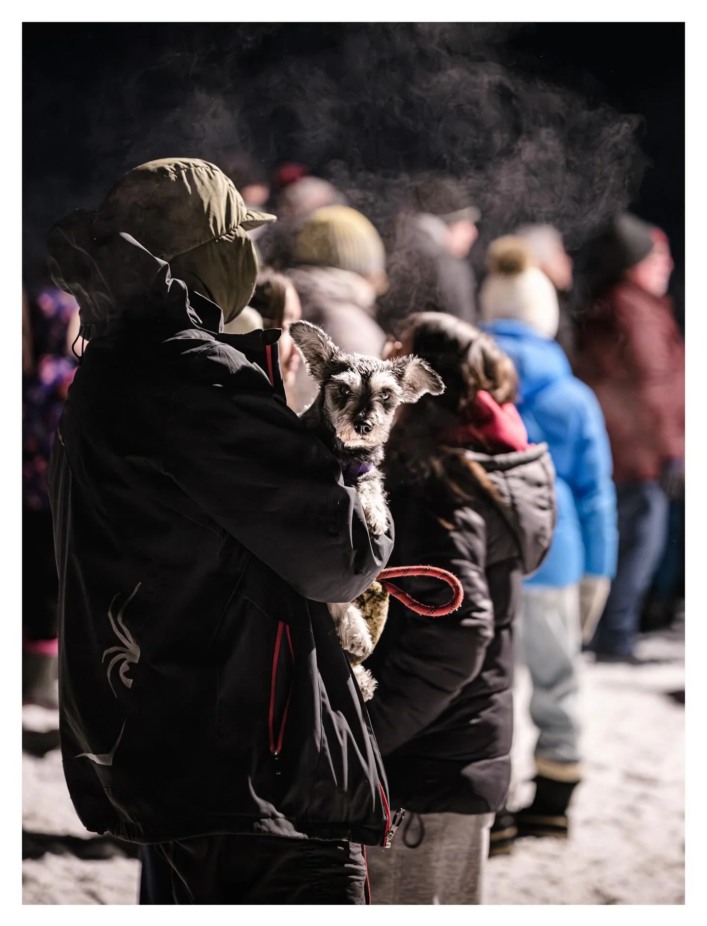 Chill 🧊

#photography #pet #petphotography #canadianwinter #streetphotography