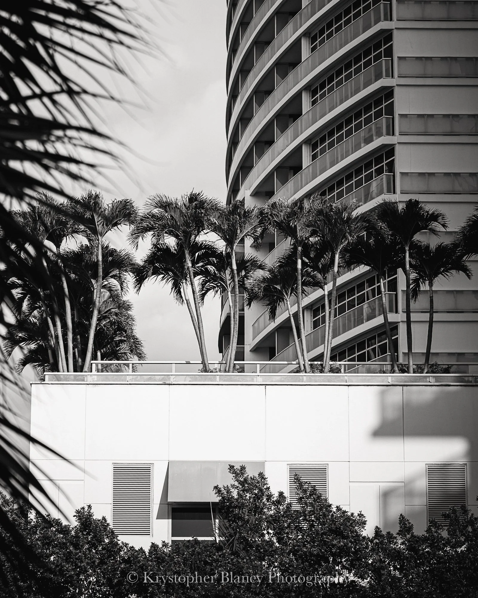 Lauderdale (8x10 Print)