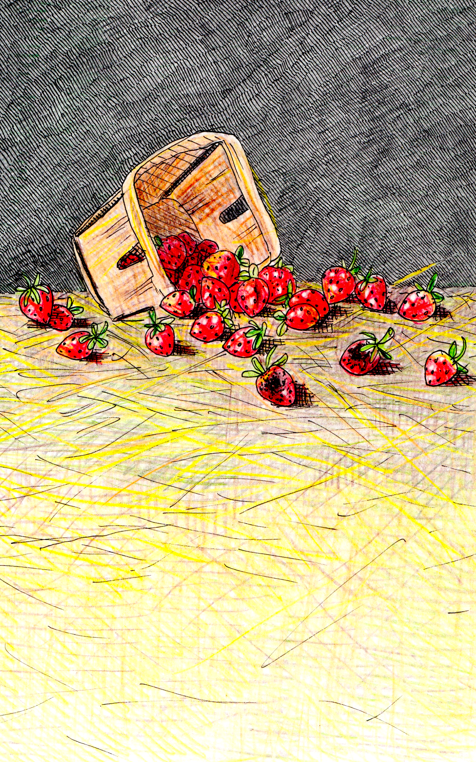 Cover art for Mary Ann Ronconi's novel 'Strawberry Season'