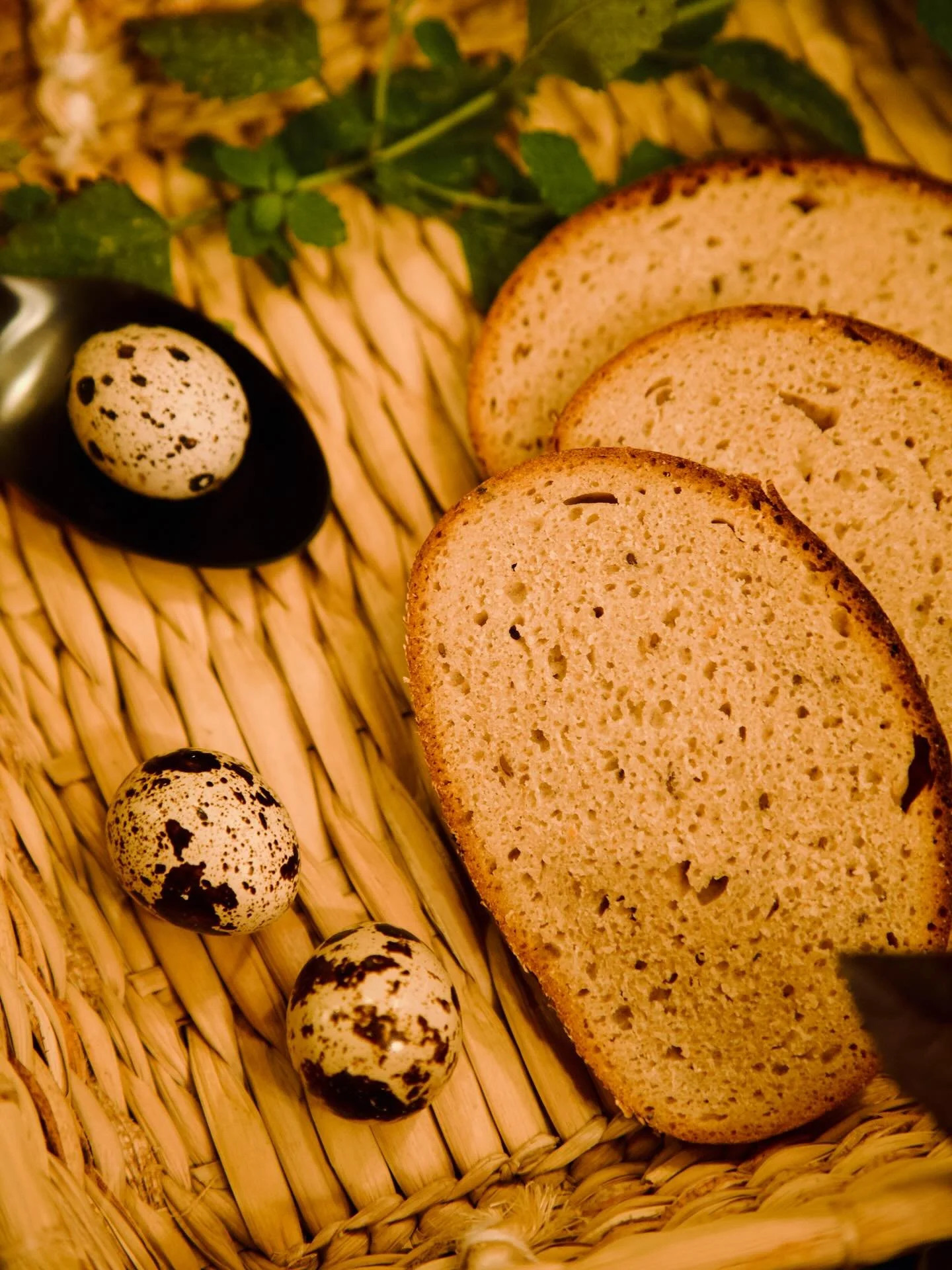 Rāms rīts. Atvērti aizkari. Iedegta silta gaisma virtuvē. Roka sniedzas pēc smaržu pilnas rudzu saldskābās maizes. Maize pavisam tīra, balta, tikai maza tiesa garoziņas iezīmē stingras robežas. Tāpat dzīvē - melnais un baltais spēlējas vienmēr. Tava 