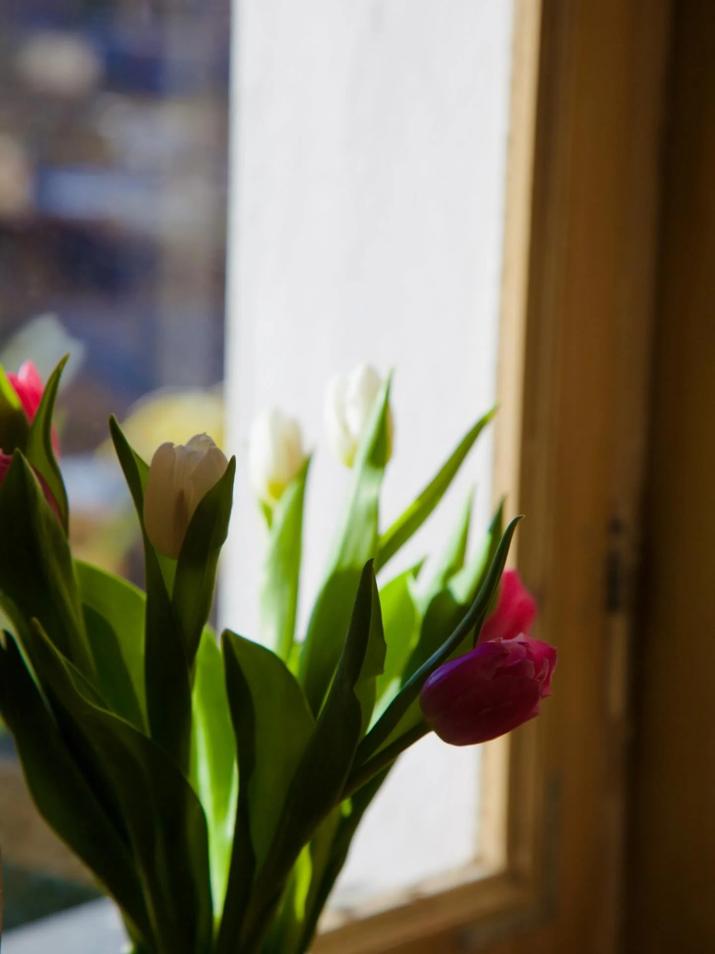 Tev piestāv &scaron;is rīts. Saule skropstās, smaids acīs un vaigu bedrītēs. Un Tu piestāvi sev!