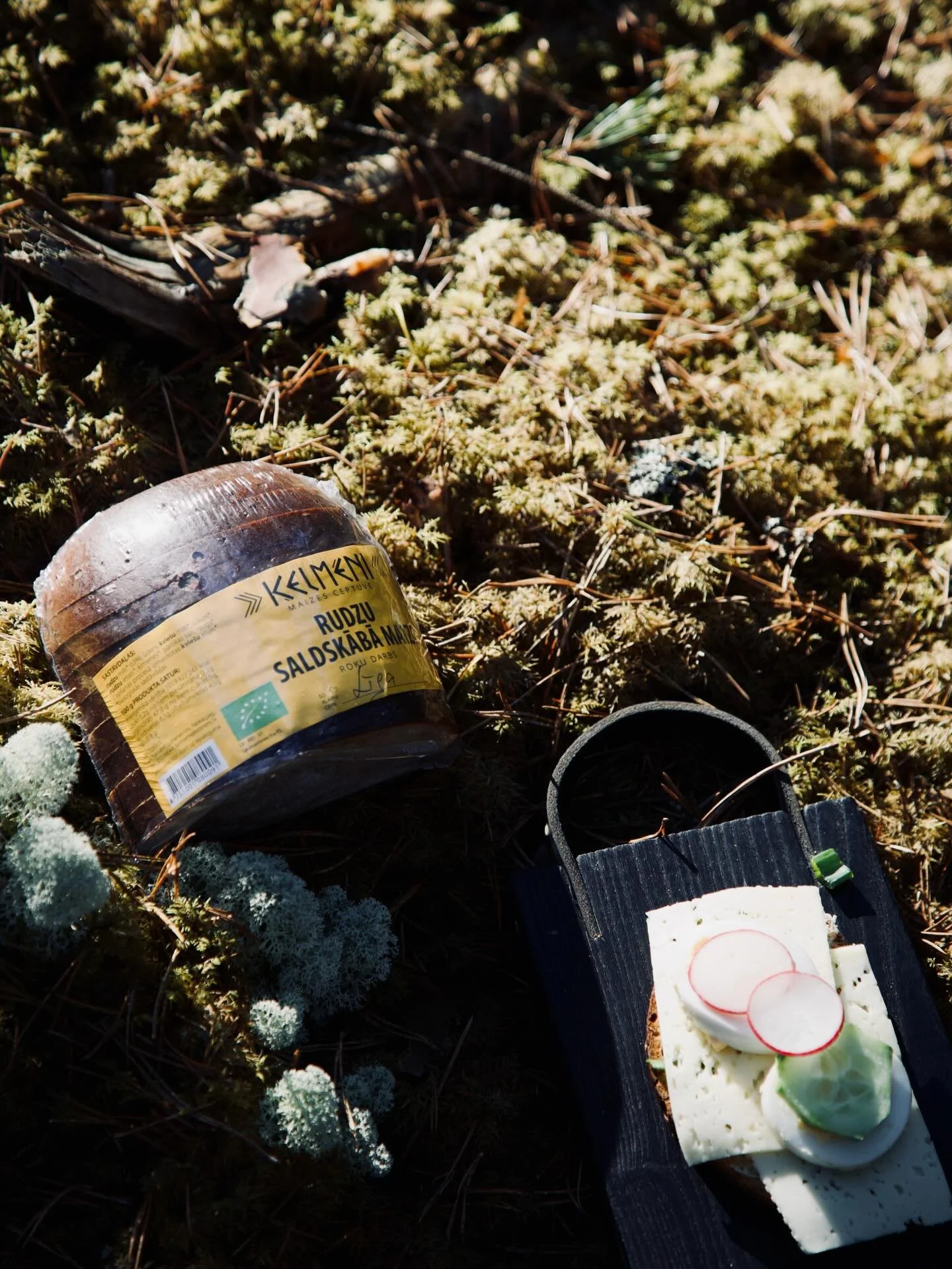 Labākā doma pasaulē ir &scaron;odien doties dabā. Par spīti tam, kādu prognozi rāda laika ziņas. Saģērbies, liec somā spēka riku, es uzvārī&scaron;u tēju, iesim un runāsim par visu un neko! Būsim!

#ķelmēni #bioloģiski #saldskābmaize