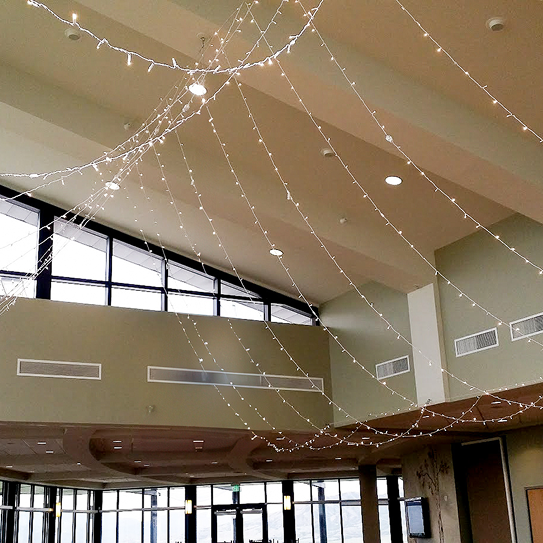 b845f2bd-9c88-46ea-9f4f-9b79d35ef2ad 1.png