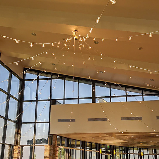 b845f2bd-9c88-46ea-9f4f-9b79d35ef2ad 2.png