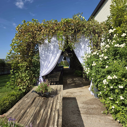 b845f2bd-9c88-46ea-9f4f-9b79d35ef2ad 61.png