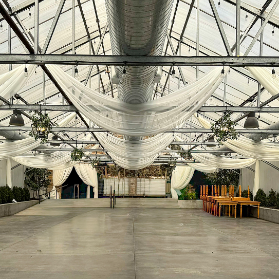 IMG_2365_jpg 2 6.png