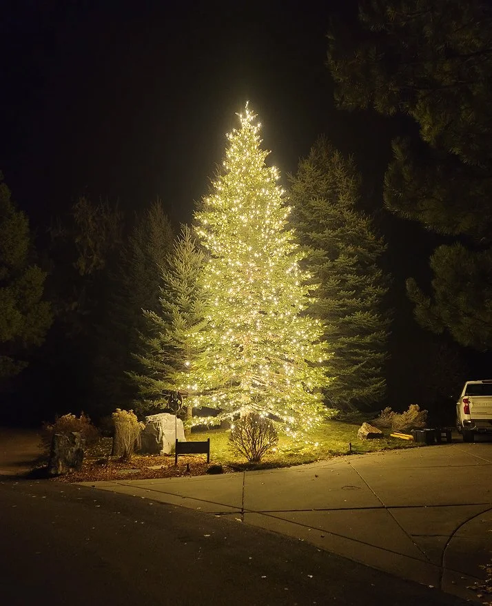 20241121_033243 1.jpg