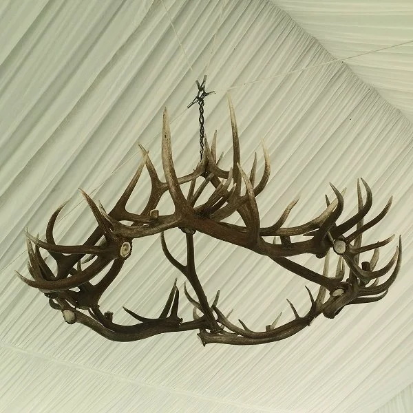 Antler - 36" x 48"