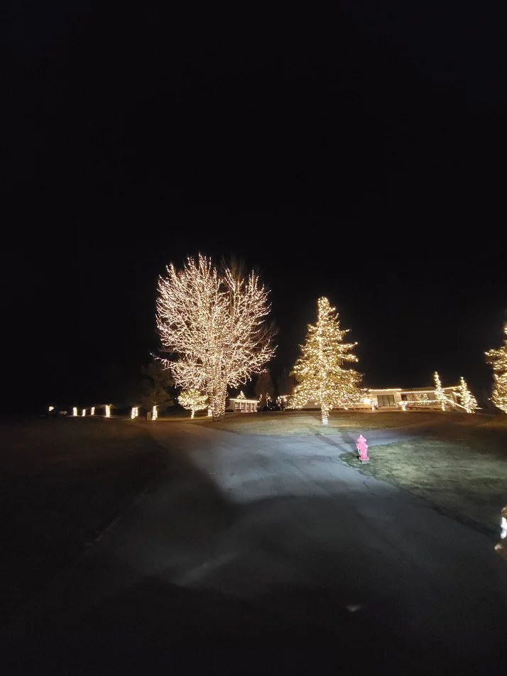 20241210_044417 1.jpg