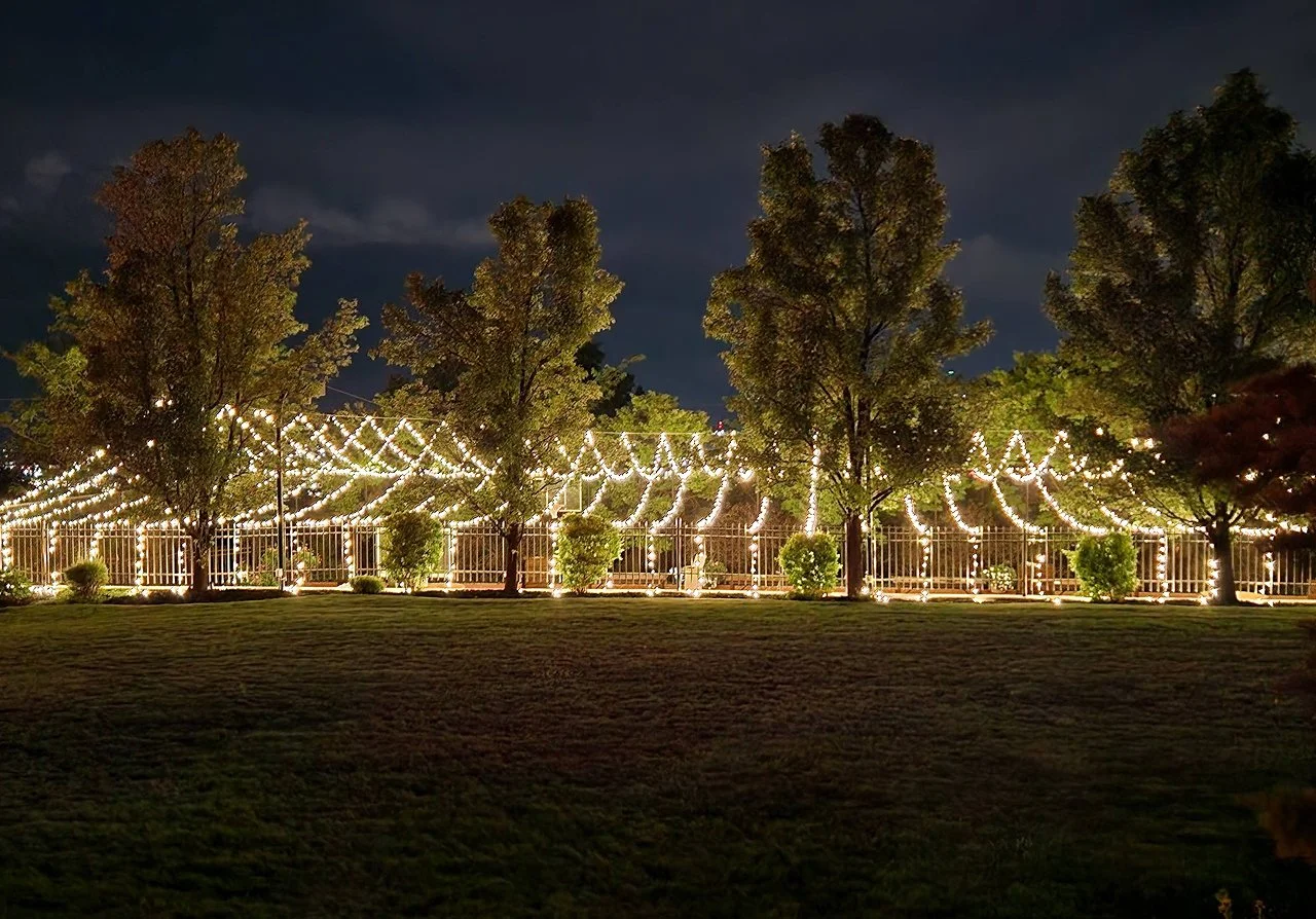 Night scene of a park with trees decorated with string lights, illuminated fence, and dark cloudy sky.
