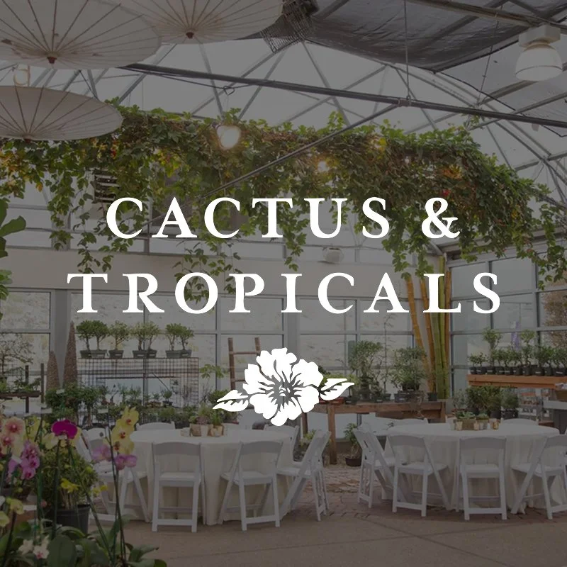 Cactus & Tropicals